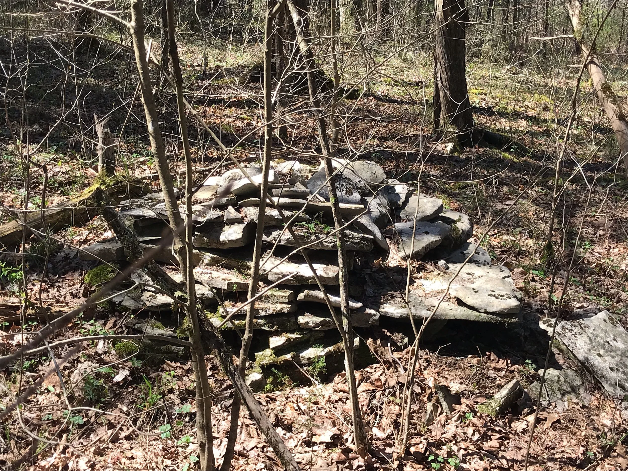 "TVA assessing whether transmission line must be rerouted after more cultural artifacts found in route to proposed complex"