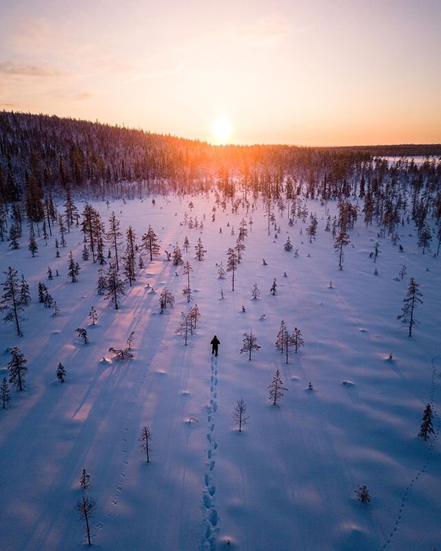 ❄️😍