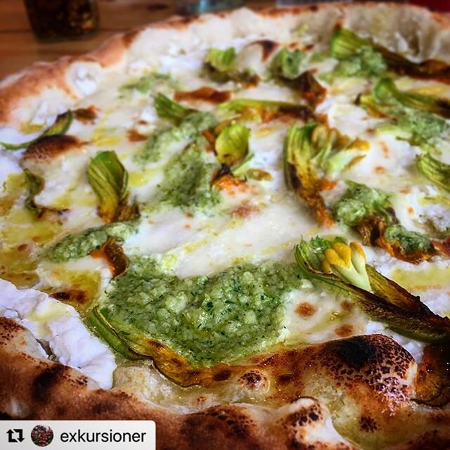 @exkursioner #repost #zucchinicream #fioridizucca #pizzabianca #pizzeria #foodie #foodism #foodlover #italianfood #pizzalover #supportyourlocal #eatlocal