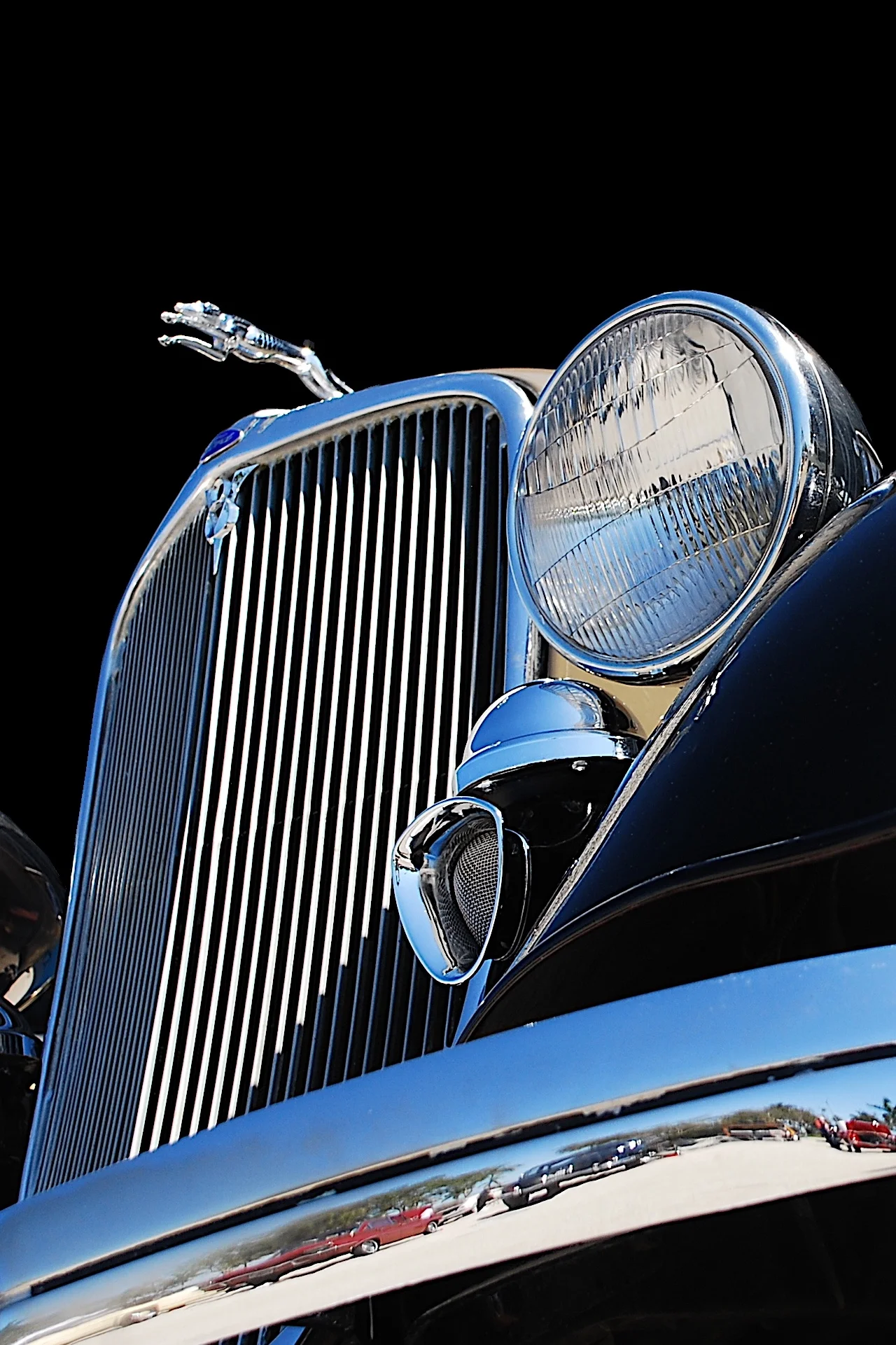 DSC_0230 crop gc edit.JPG