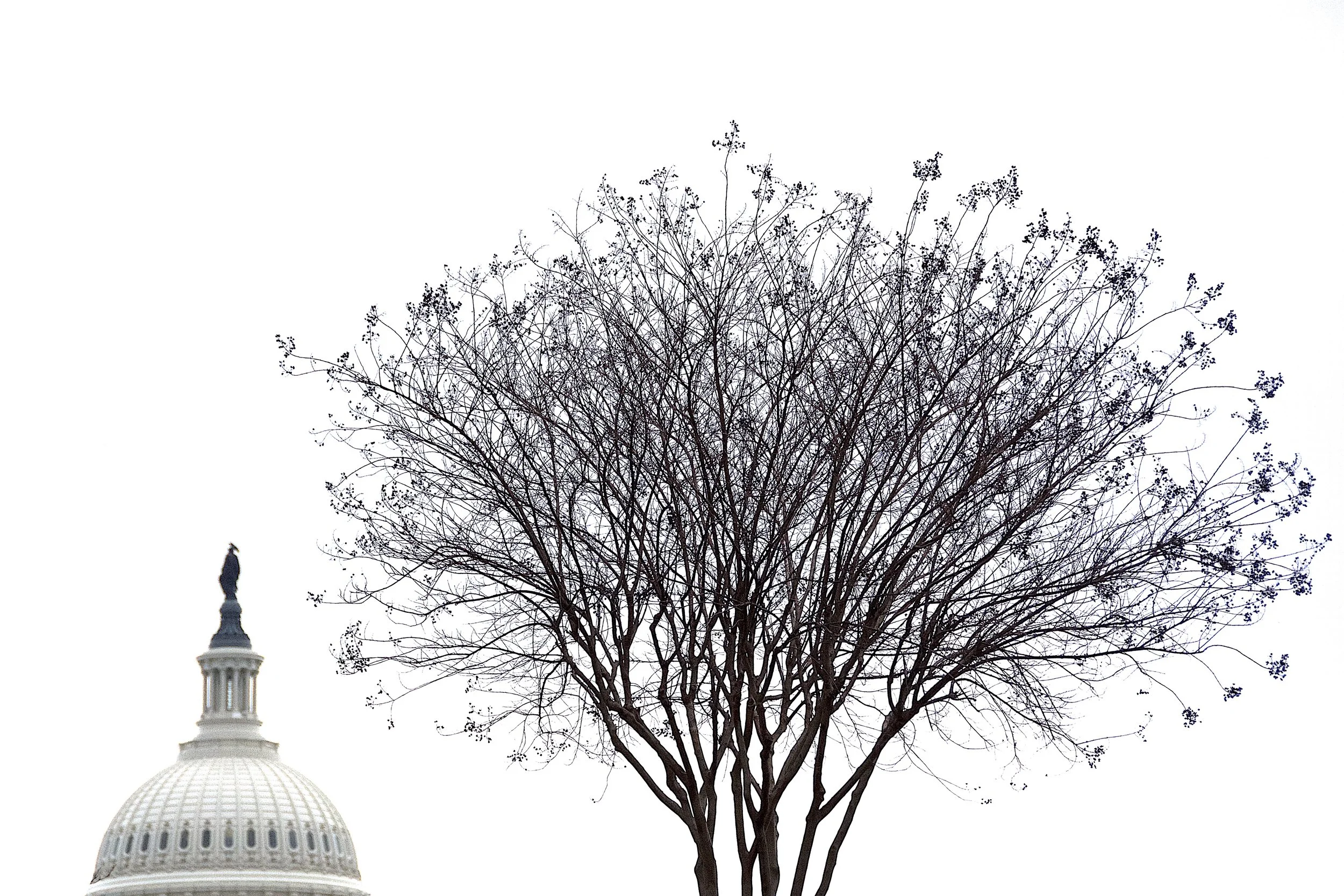 Washington DC