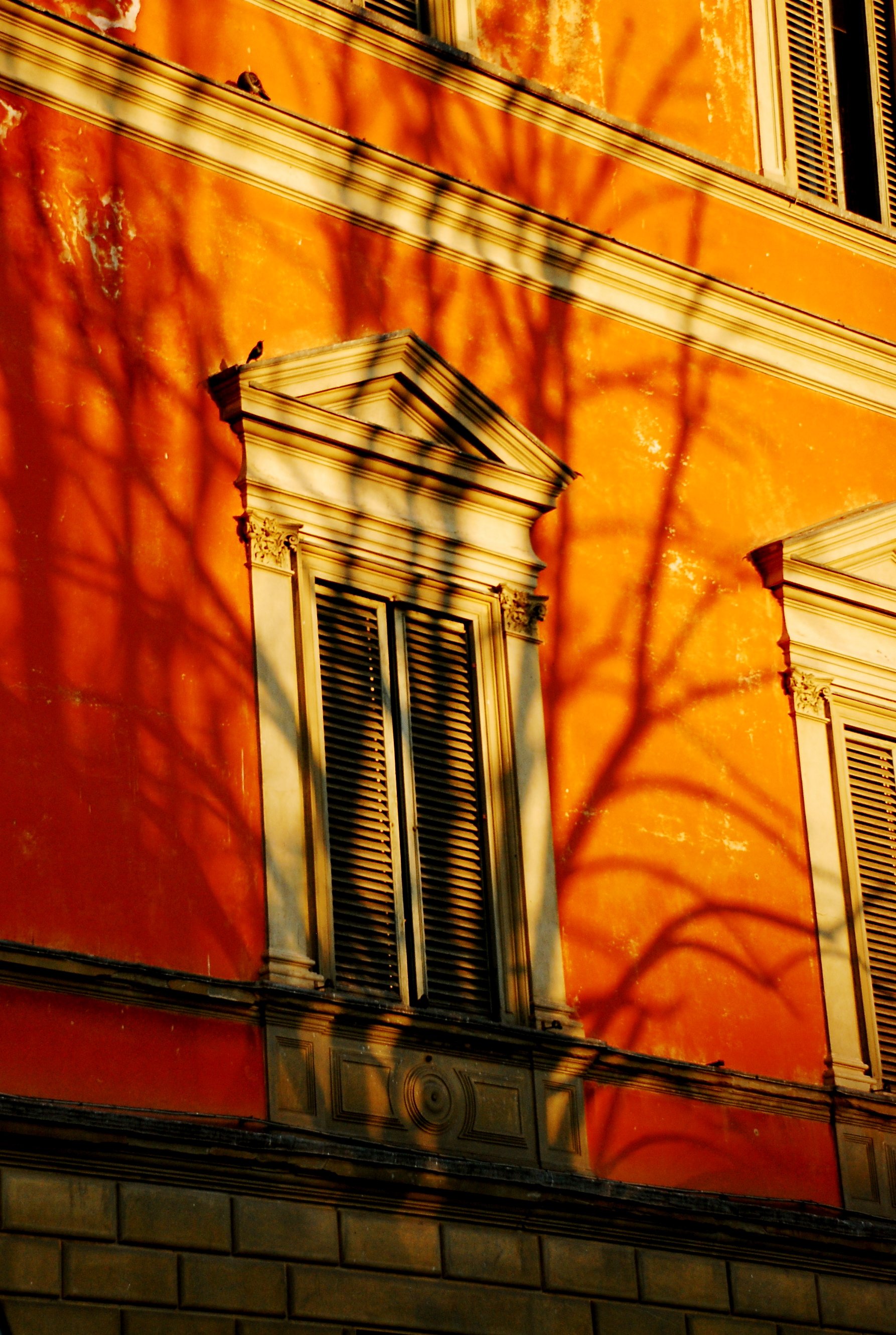  Florence 