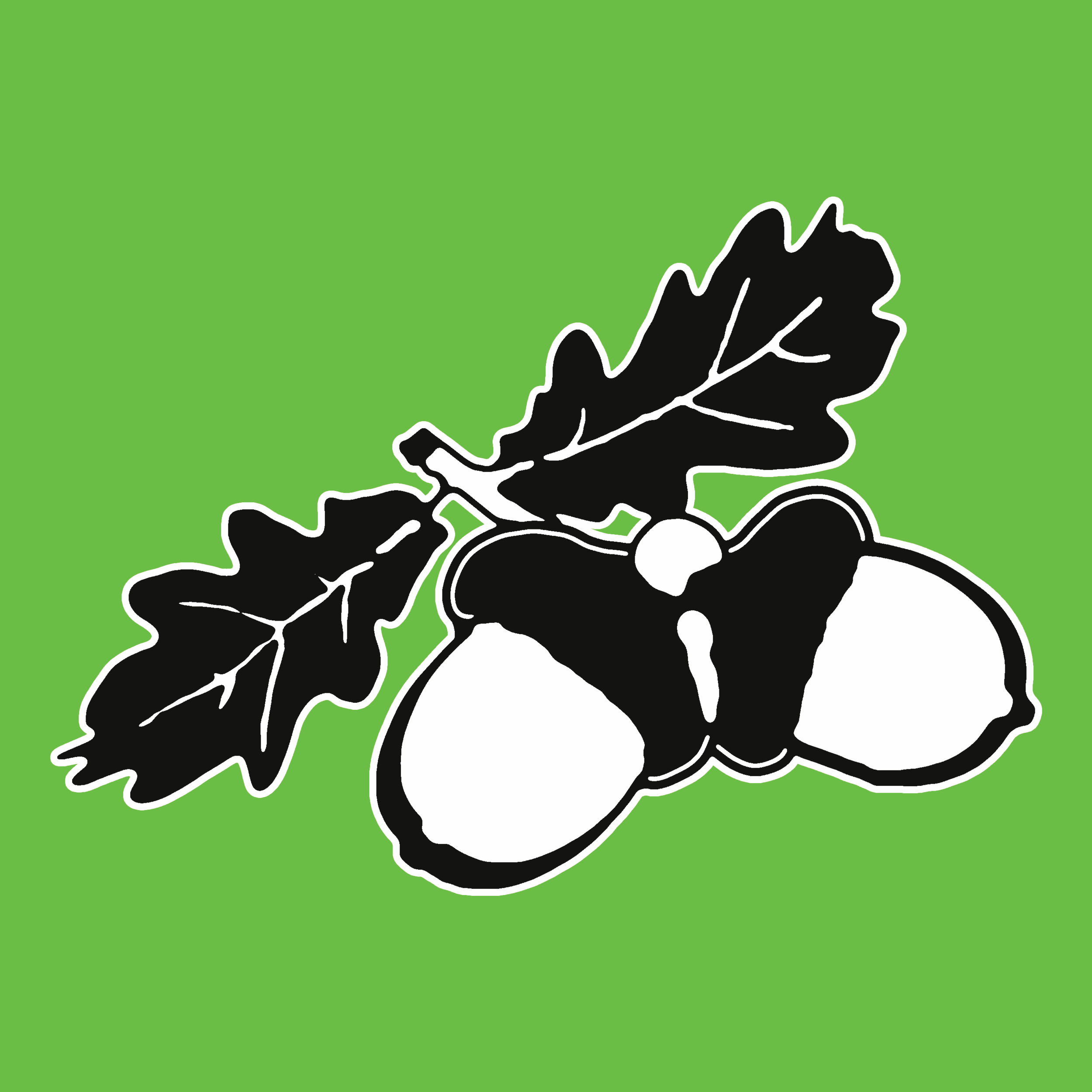 Royal_Oak_Collection_N0.12.png