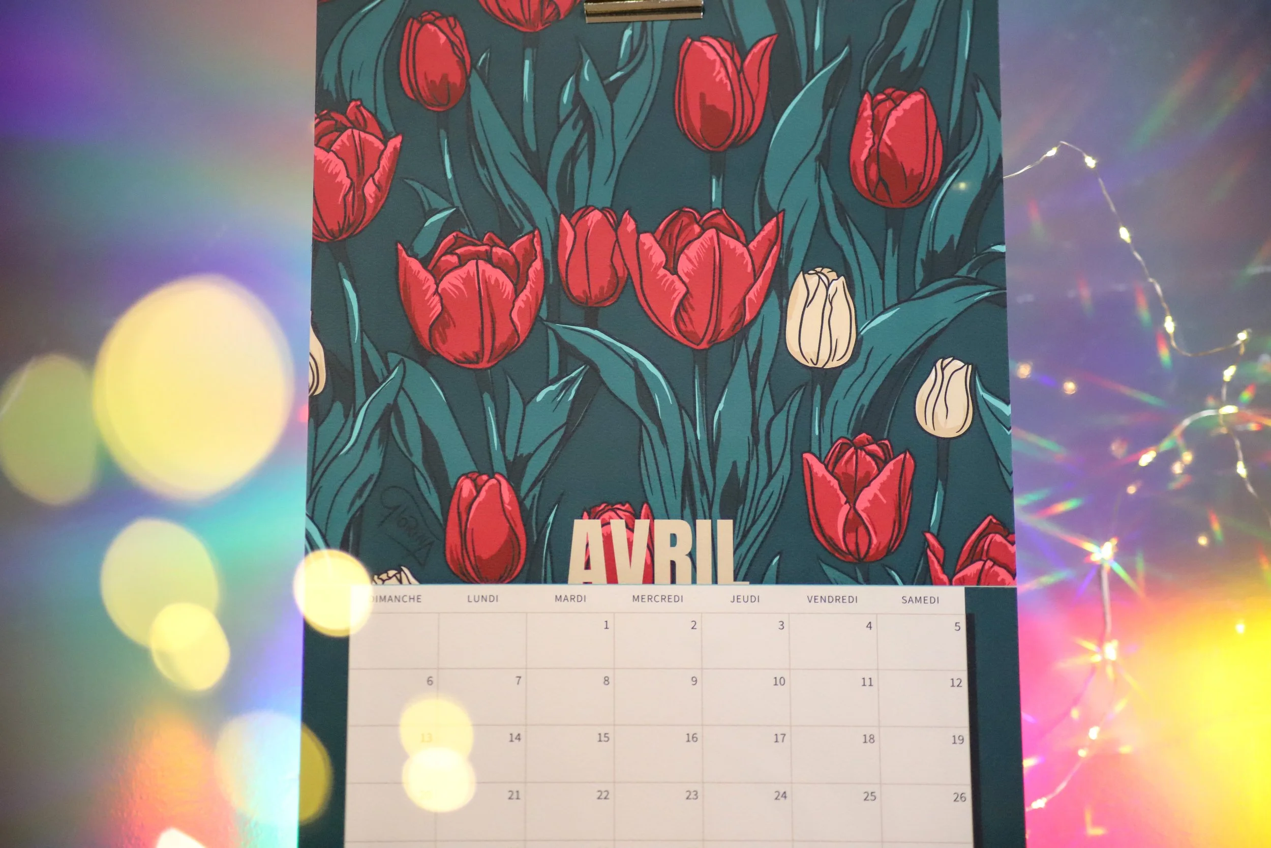 Calendrier Cosmochromie 2025 - recto/verso - A3