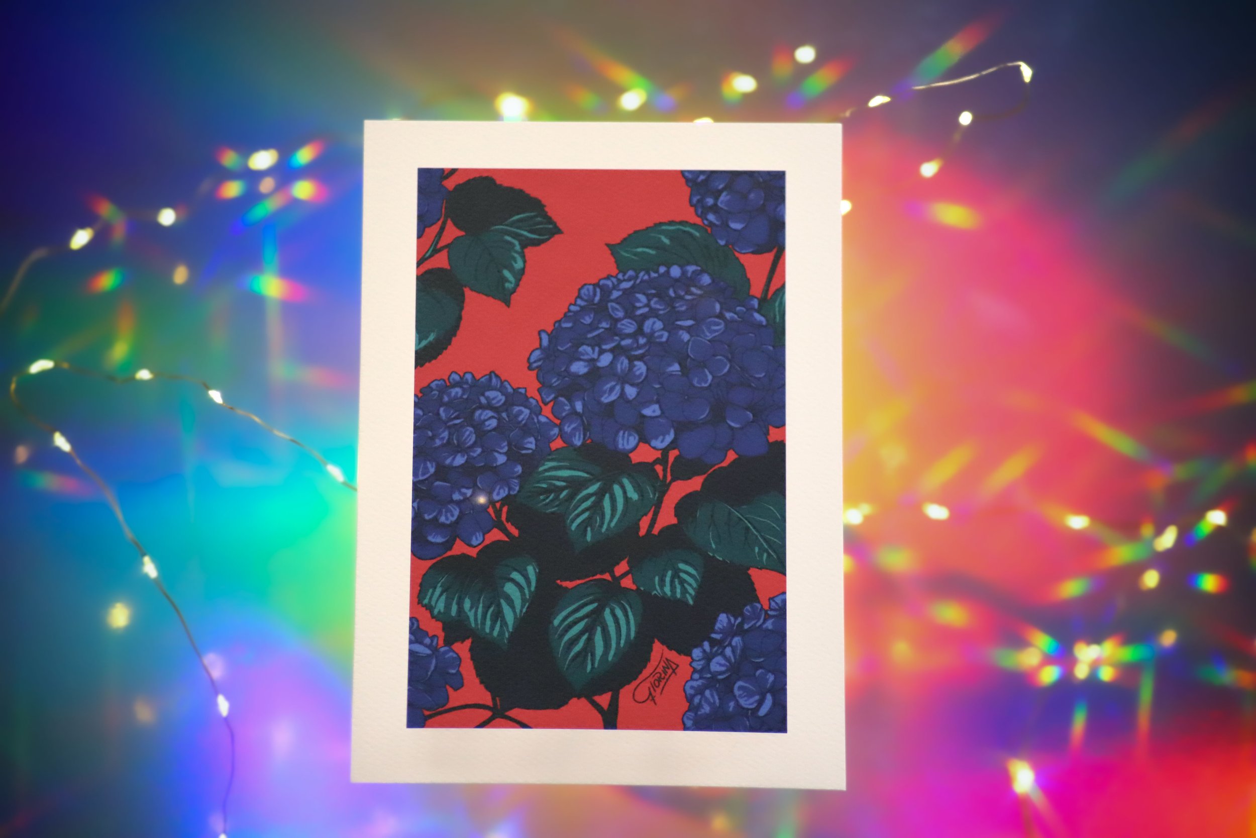 2-florina-carte-A5-cosmochromie-hortensia.JPG