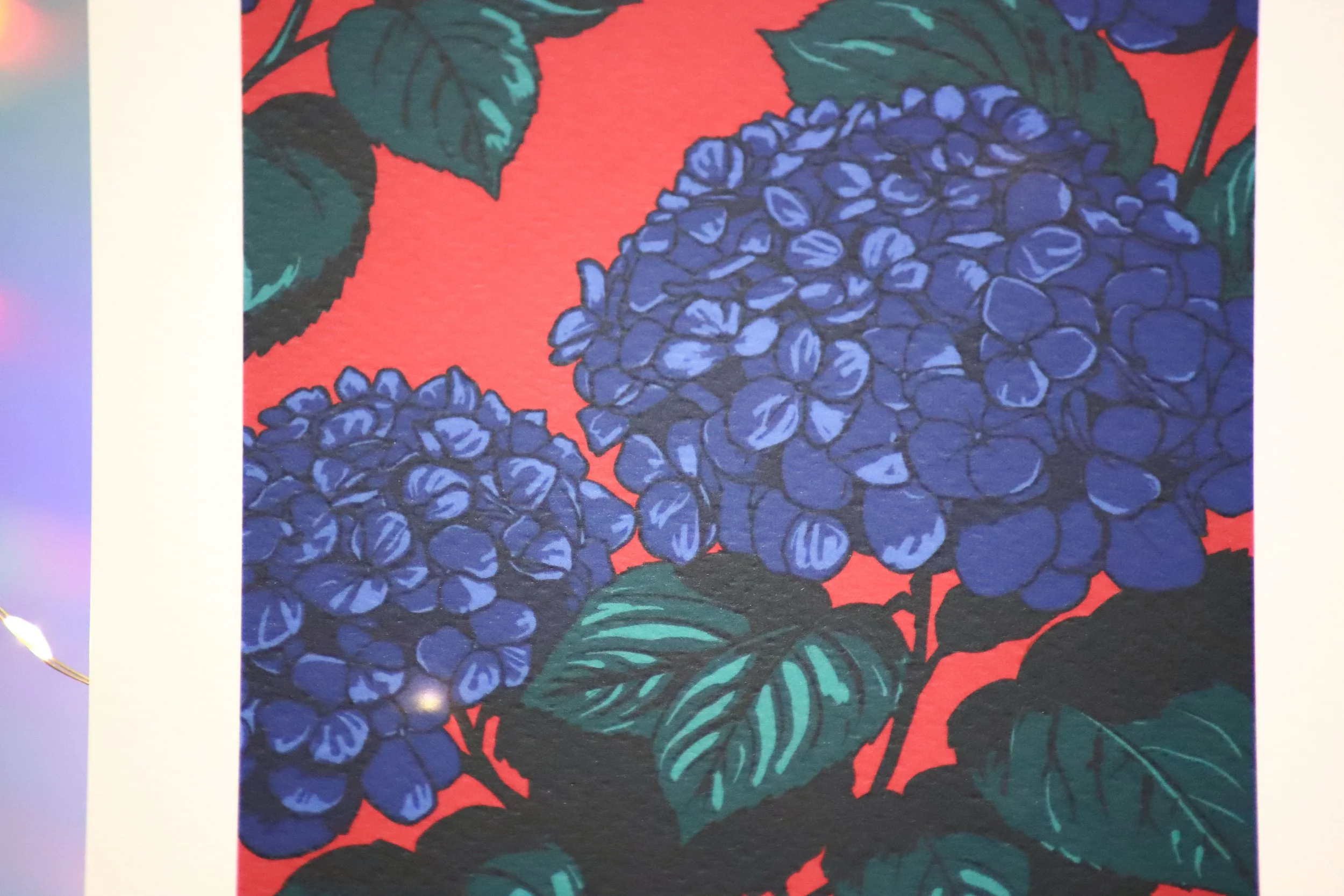 Carte Hortensias - A5