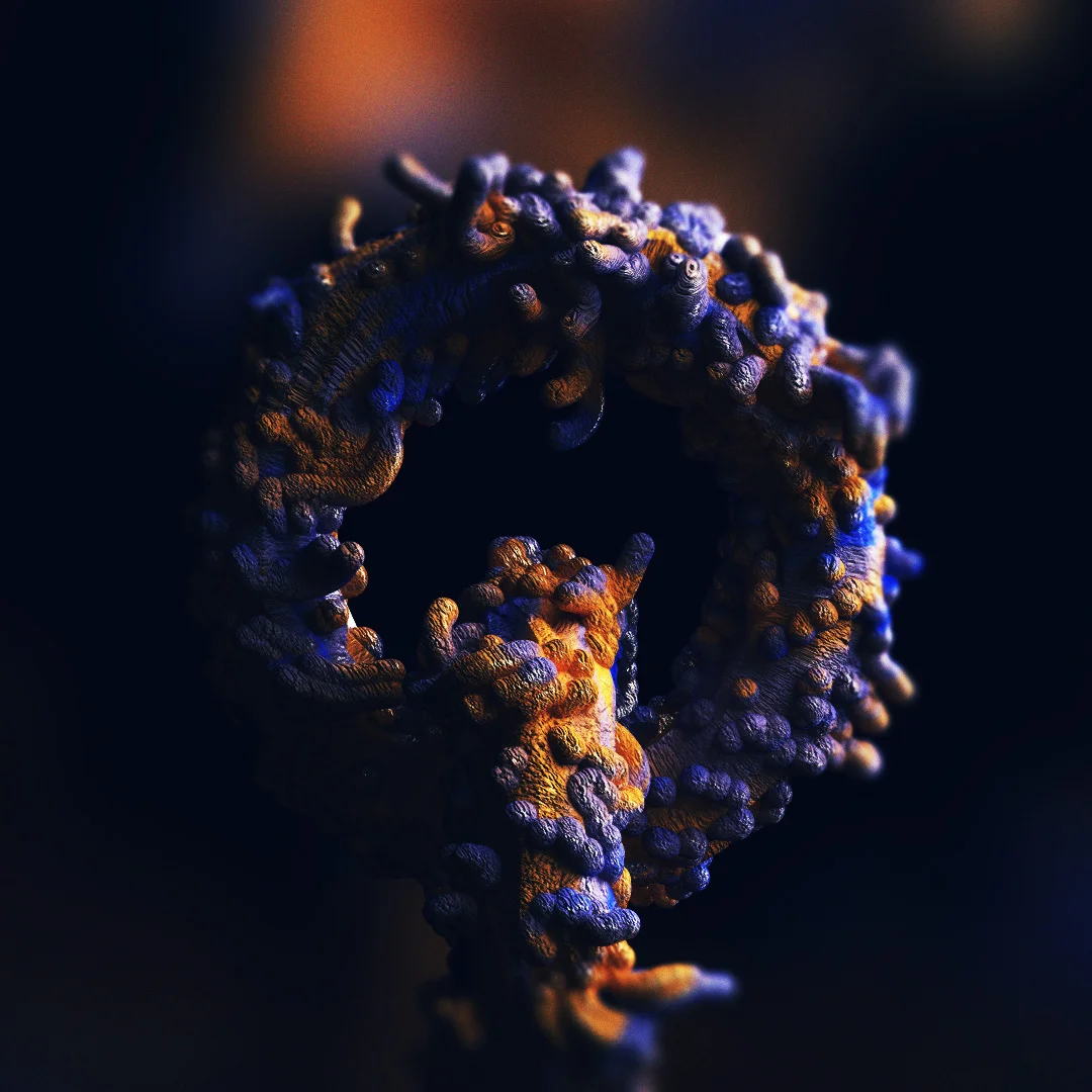  Worm-style 3d exploration while working on DoM project 