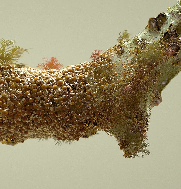 Digbee_ID 2_05_Still_cam 9_0207 copy.jpg