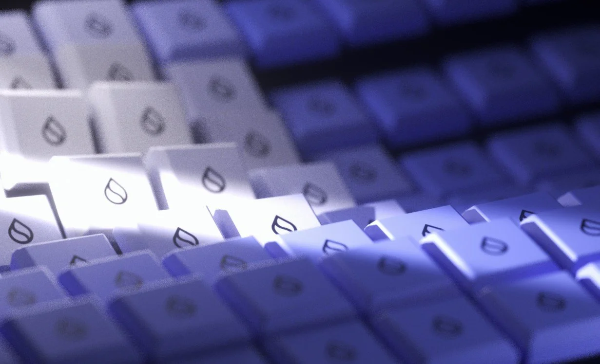 Decentralised trust_03.jpg