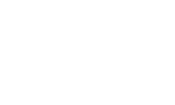 aeropostale.png