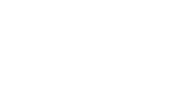 vineyard vines.png