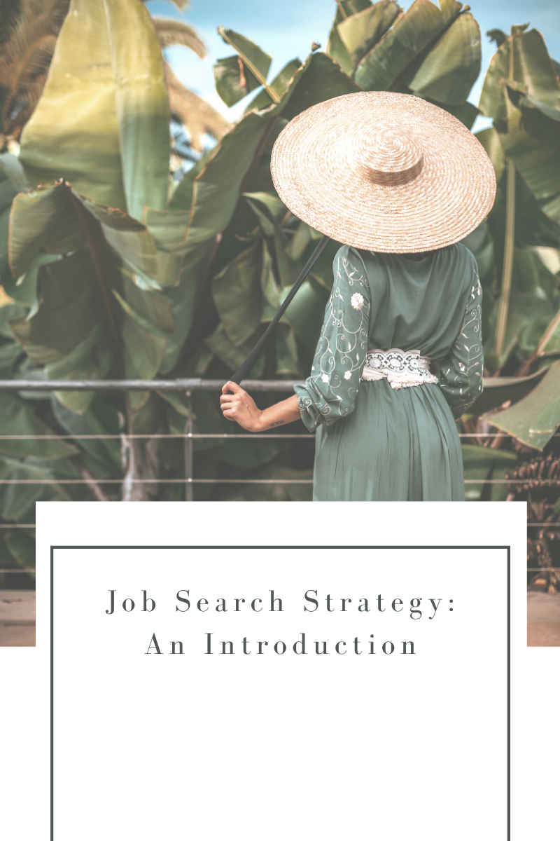 Job Search Strategy: An Introduction