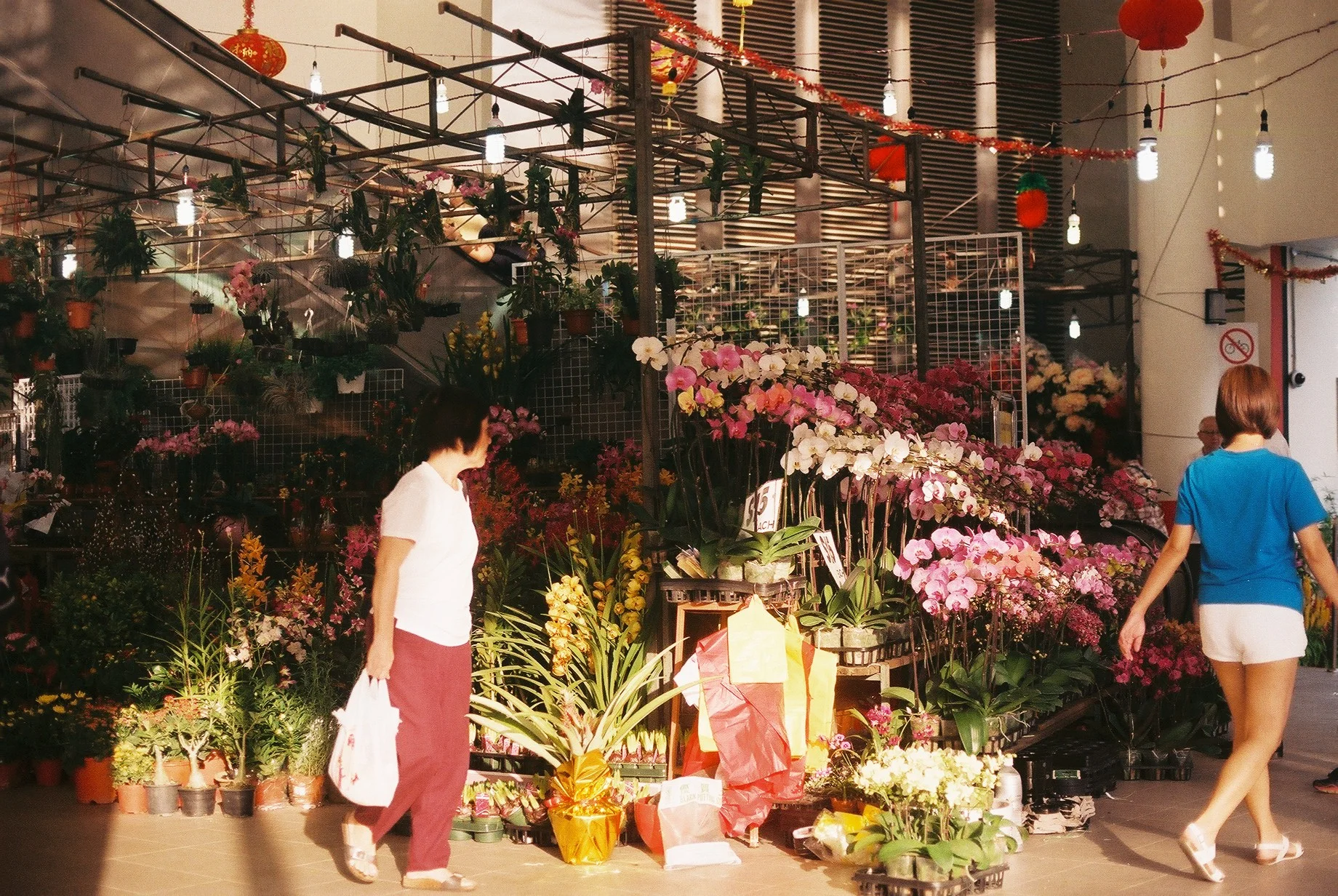 F1000037.JPG