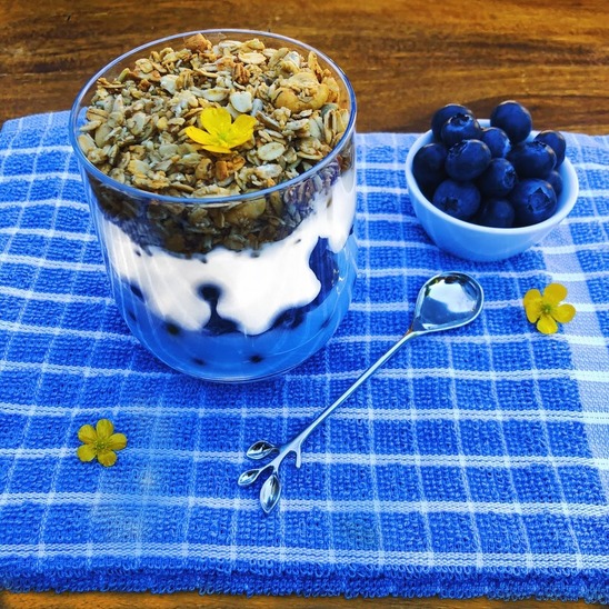 7-blueberry-and-yoghurt-parfait.jpeg