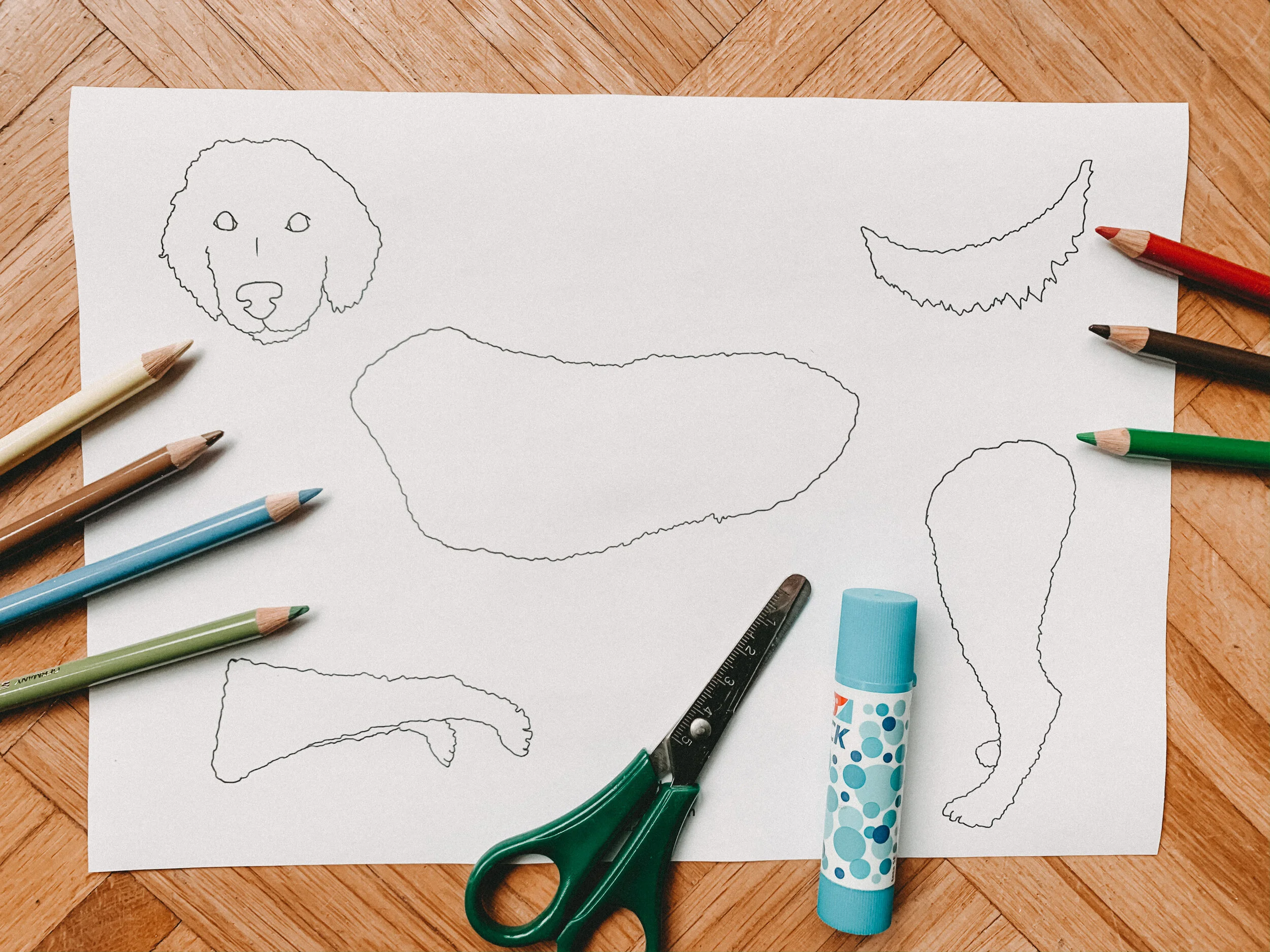 Tier in Einzelteilen - PDF-Datei