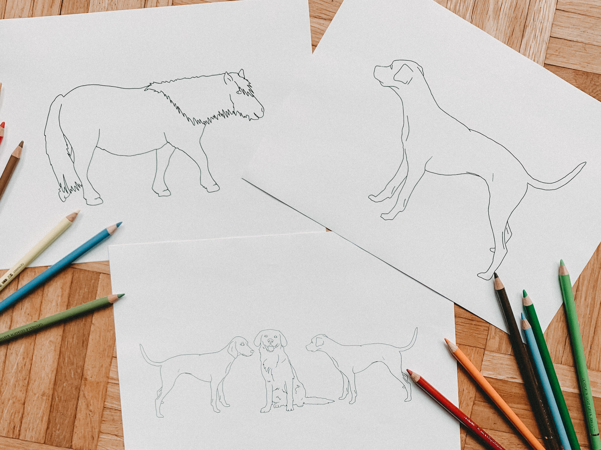 Ausmalbild - PDF-Datei