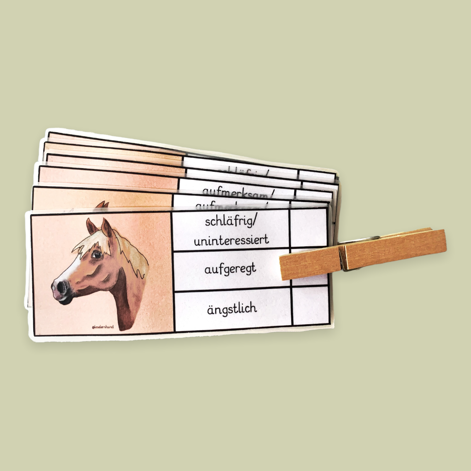 Klammerkarten Pferde-Körpersprache