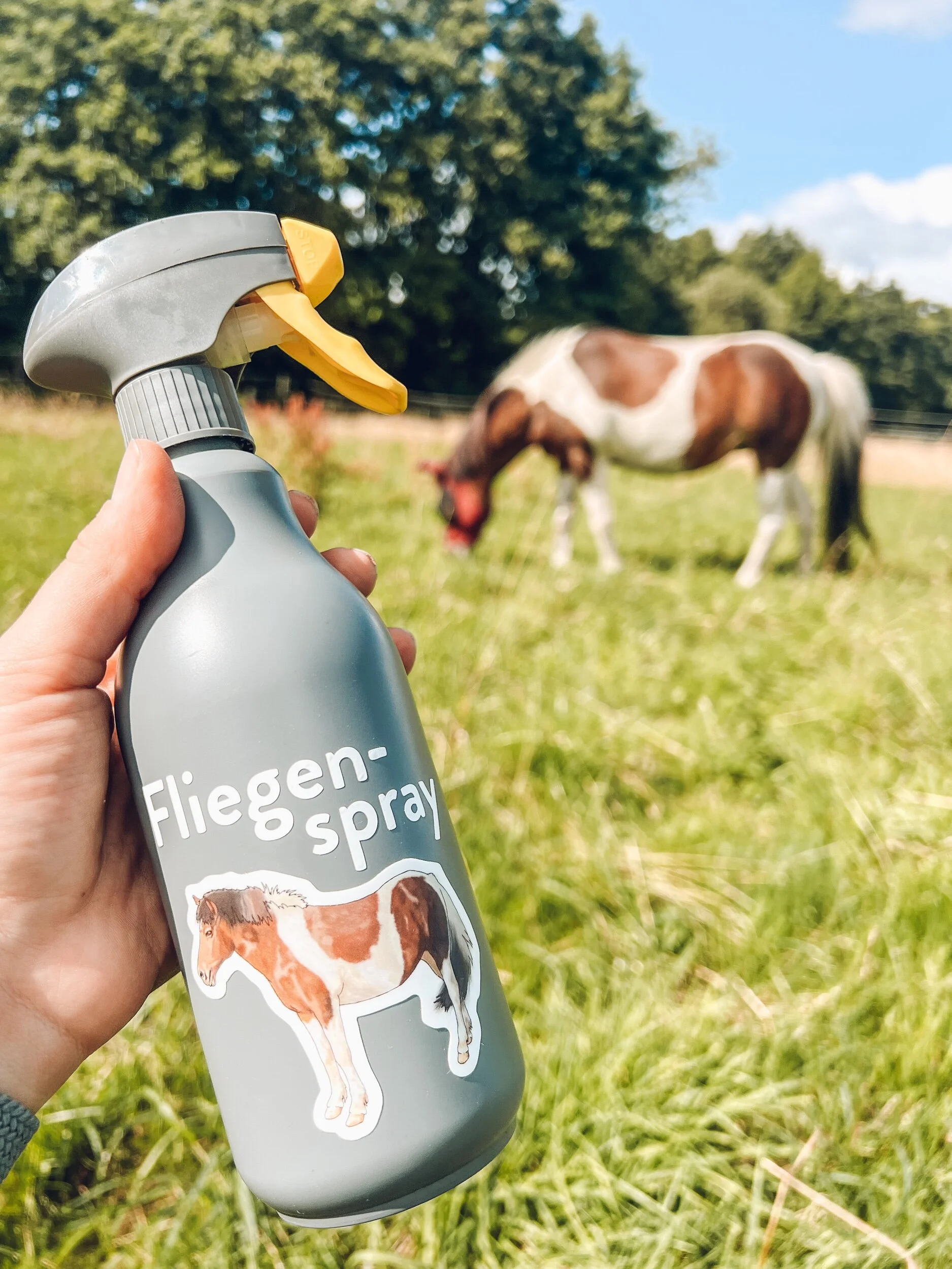 8CF427C5-0006-468C-9CAE-B85FA1154E0F