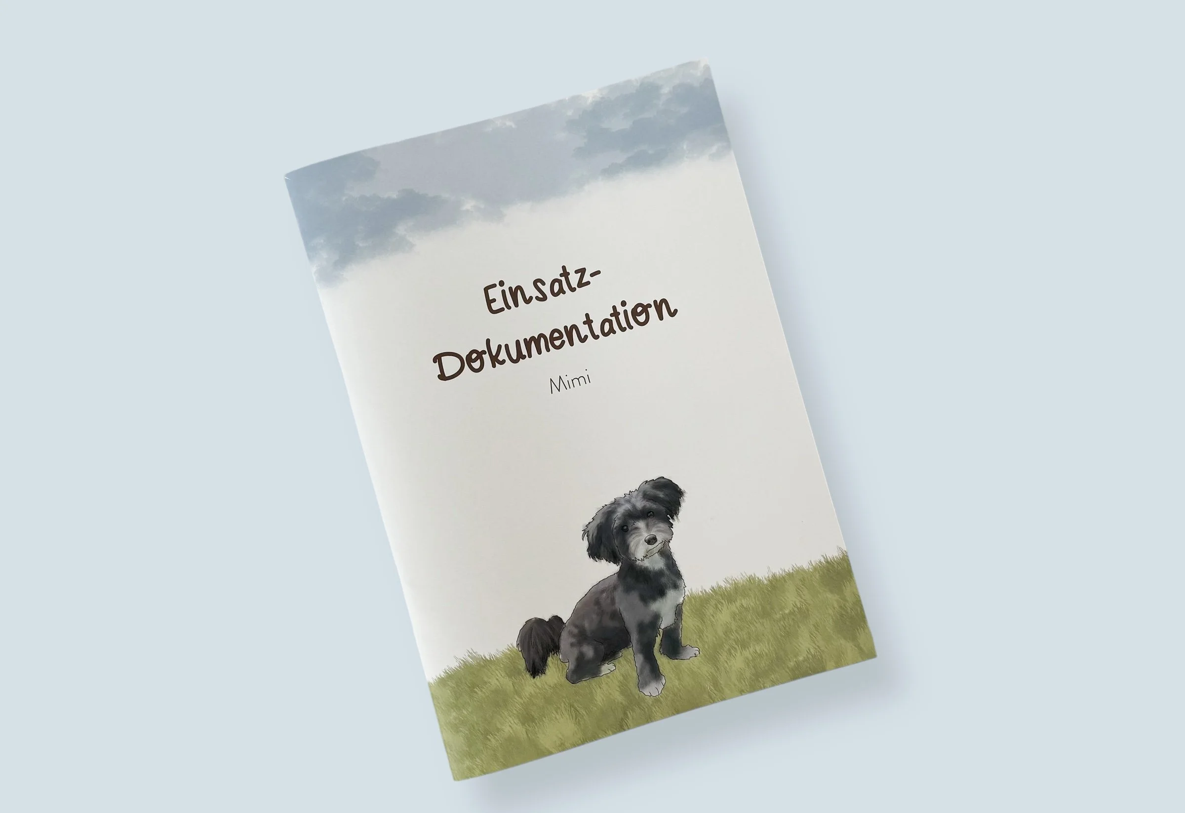 Einsatz-Dokumentation