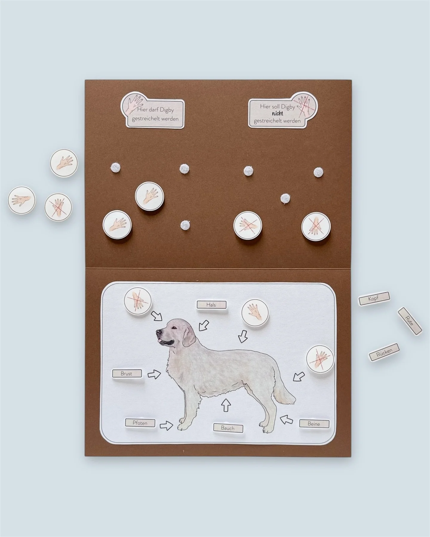 🐾 Personalisierte Streichel-Landkarte Hund &ndash; robustes Basis-Arbeitsmaterial mit Illustration deines eigenen Therapie- oder Lesef&ouml;rderhundes.

Perfekt f&uuml;r deine tiergest&uuml;tzte P&auml;dagogik:
Die personalisierte Streichel-Landkart