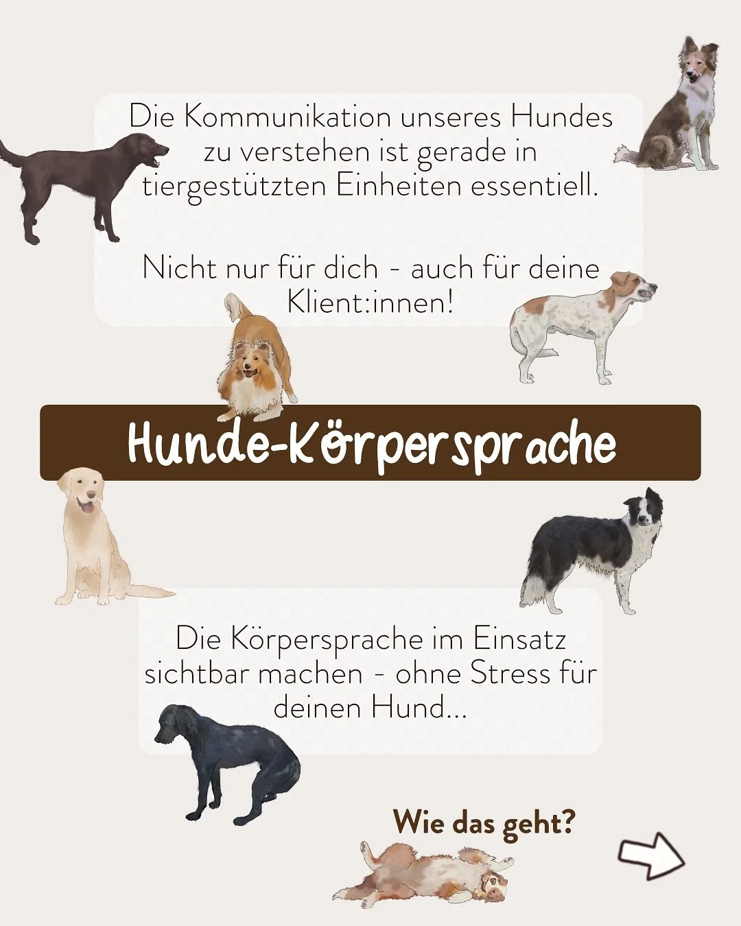 Ob zufrieden, verspielt oder unsicher &ndash; meine Hunde-K&ouml;rpersprache Materialien machen die feinen Zeichen sichtbar und helfen dir, sie auch deinen Klient:innen leicht verst&auml;ndlich zu erkl&auml;ren:

🐾Der Legekreis schafft euch eine &Uu