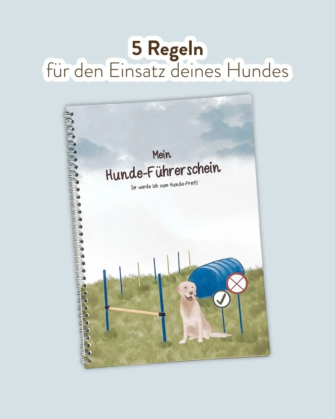 Damit der Hund und wir Menschen im Miteinander zufrieden sind, uns wohl f&uuml;hlen und auch sicher sind, brauchen wir einige Regeln, die alle befolgen.

Die f&uuml;r mich wichtigsten und (m.M.n.) generell geltenden habe ich in meine Hunde-F&uuml;hre