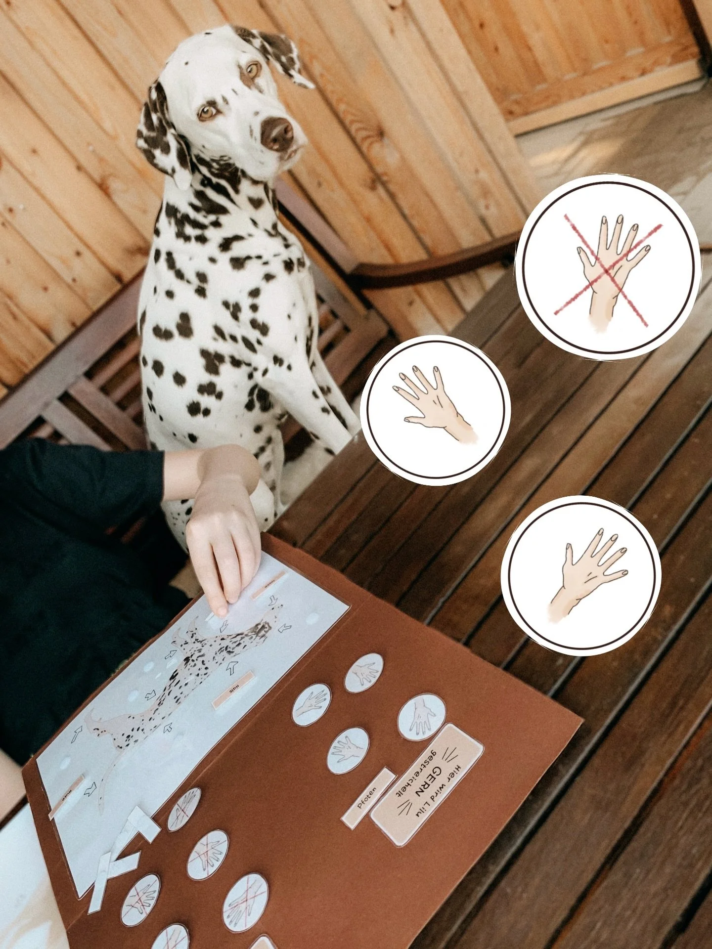 ✋🏼Wo darf ein Kind den Hund streicheln?

F&uuml;r viele Kinder ist das gar nicht so klar!

Mit den Streichel-Landkarten sehen sie sofort:
Hier sind
✅ sichere Bereiche
❌ Tabuzonen

Das reduziert Stress f&uuml;r deinen Hund und sorgt f&uuml;r ruhigere