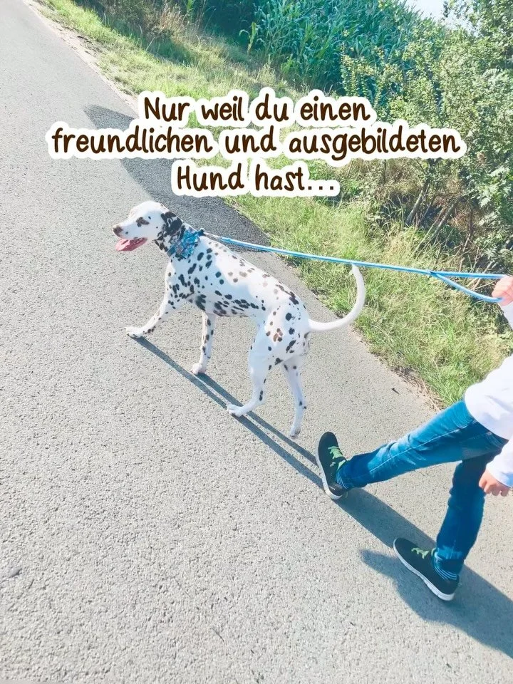 Und das ist wichtig zu erkennen!
Nat&uuml;rlich f&uuml;r dich, aber auch dein Klientel sollte (im Rahmen der M&ouml;glichkeiten) in der Lage sein zu erkennen, wenn es deinem Hund nicht so gut geht oder er sich unwohl f&uuml;hlt.

Warum das so wichtig