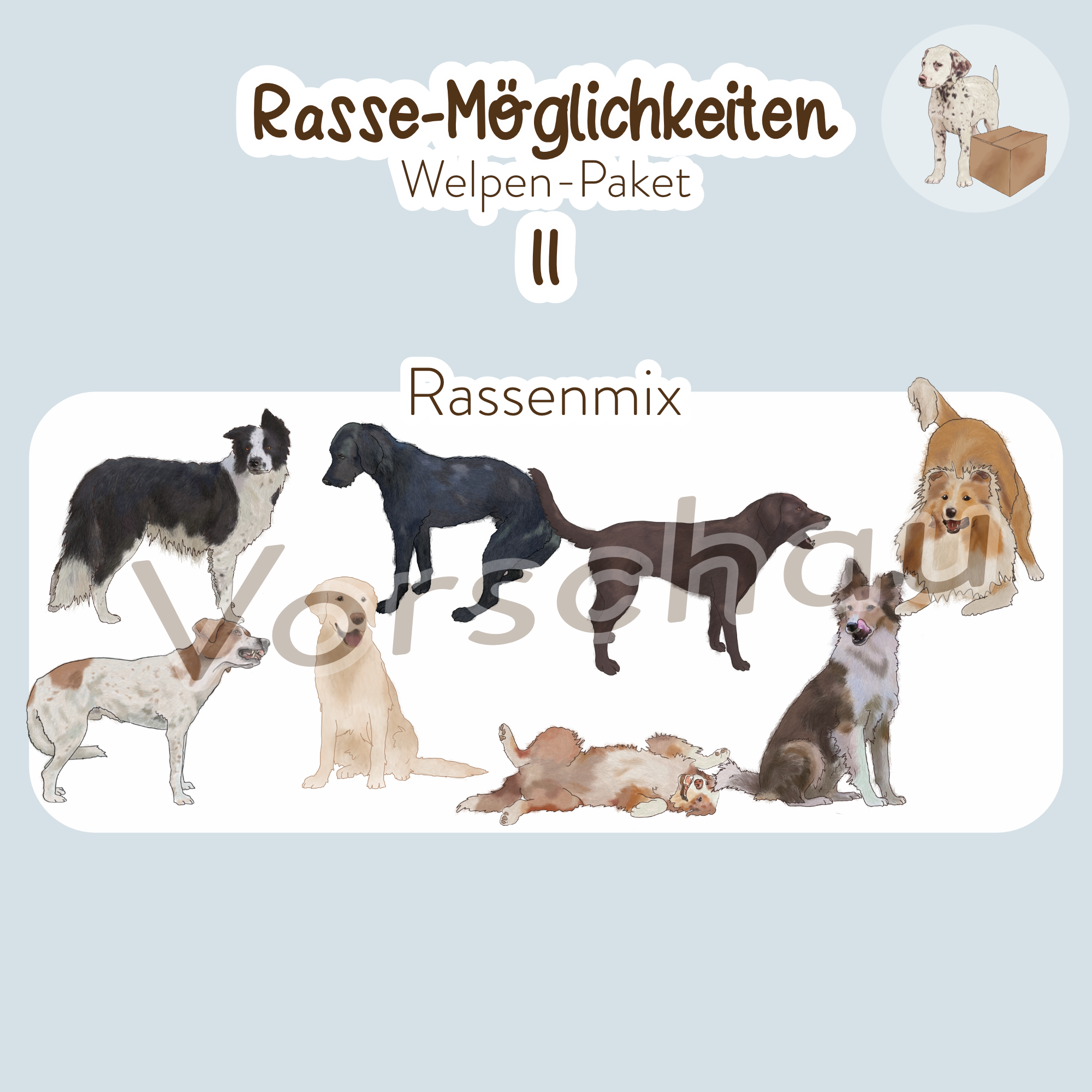 Bestandskunden-Rasseübersicht II.png