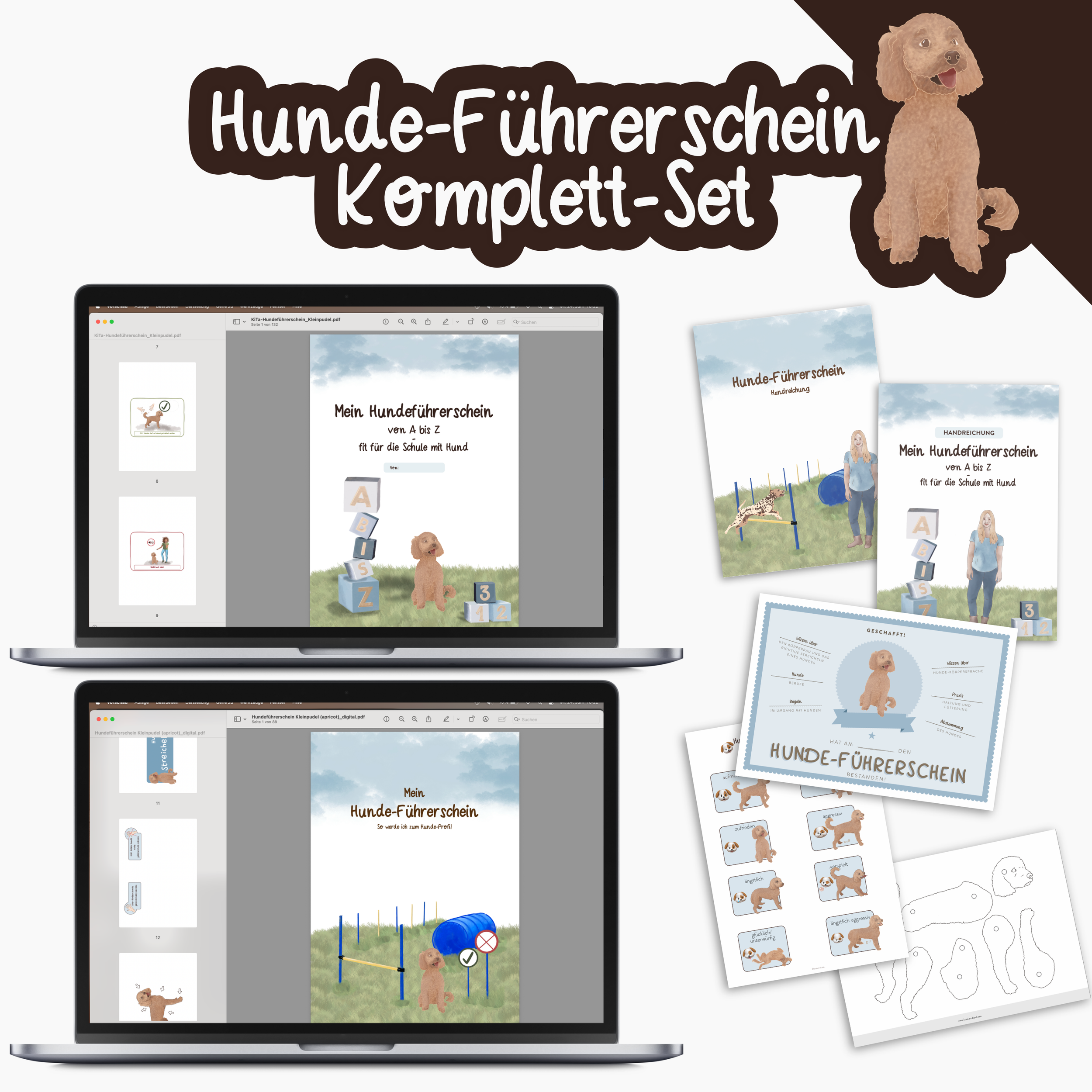 Produktfoto_Komplett-Set_Kleinpudel_hell.png