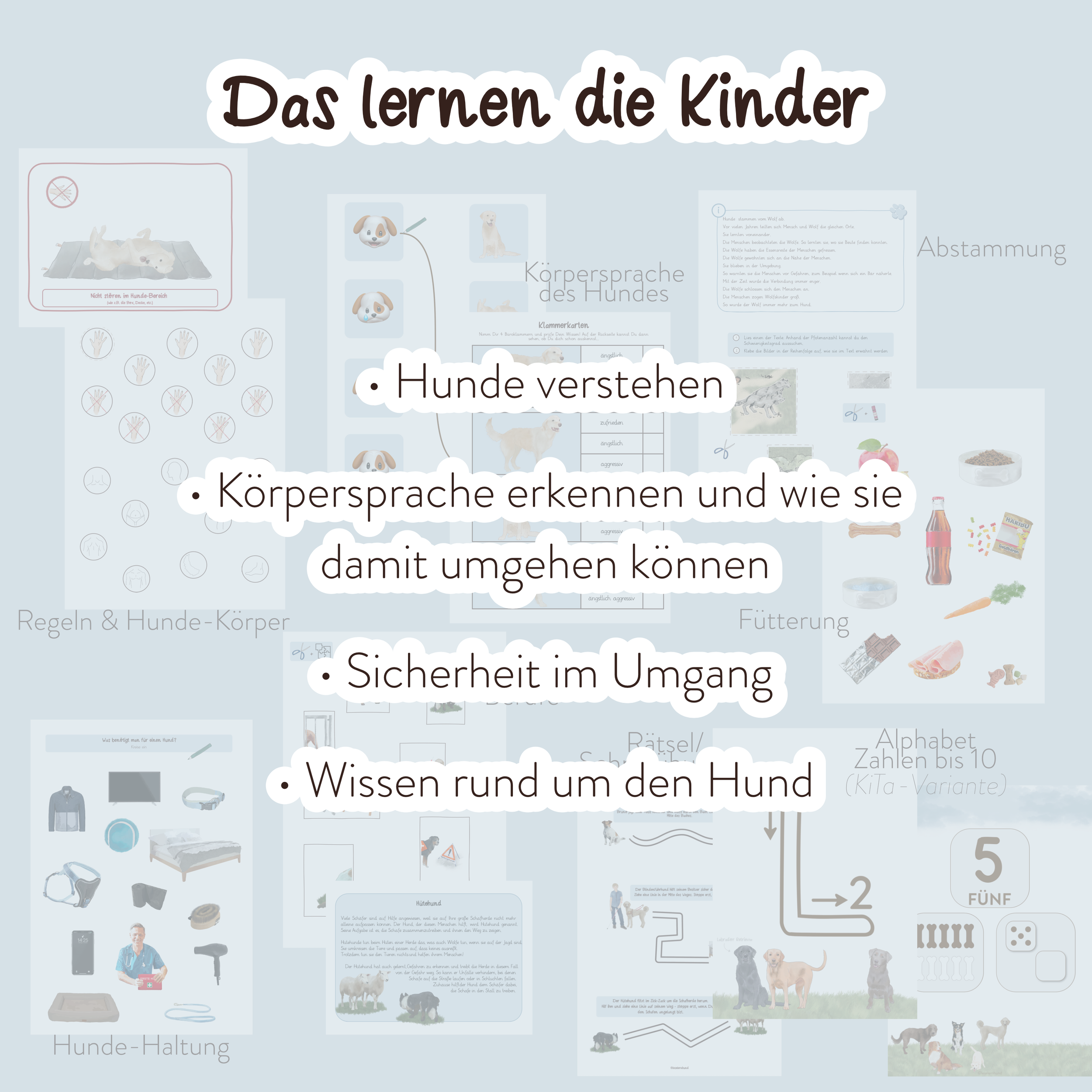 Produktfoto_Hundeführerschein_Lerninhalte2.png (Kopie) (Kopie) (Kopie) (Kopie) (Kopie) (Kopie)