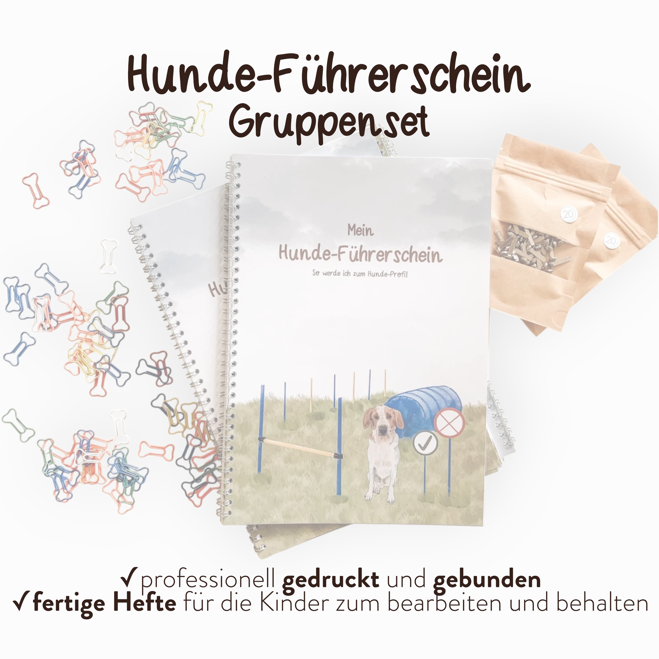 Hunde-Führerschein - Gruppensets