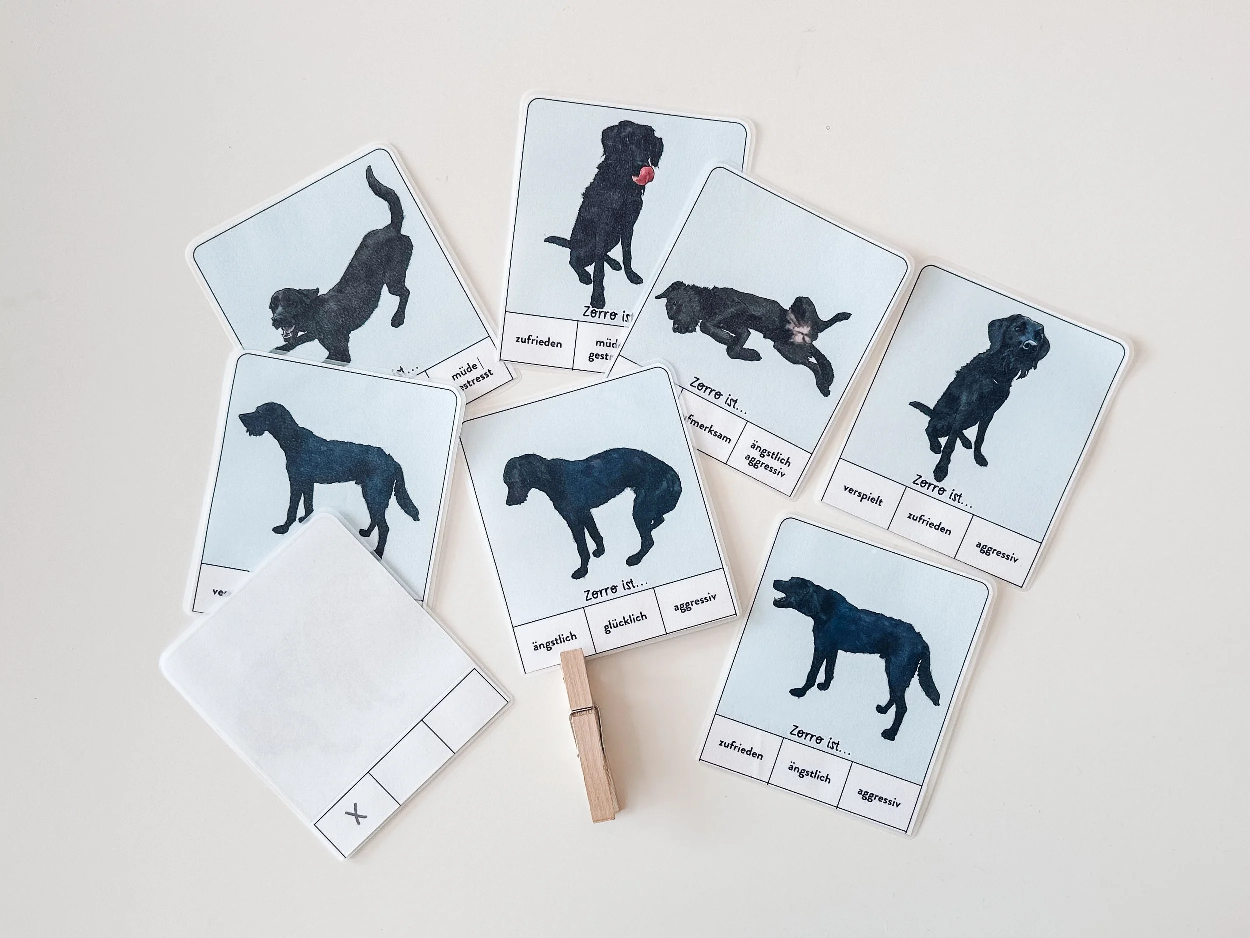 Klammerkarten Körpersprache 2.0