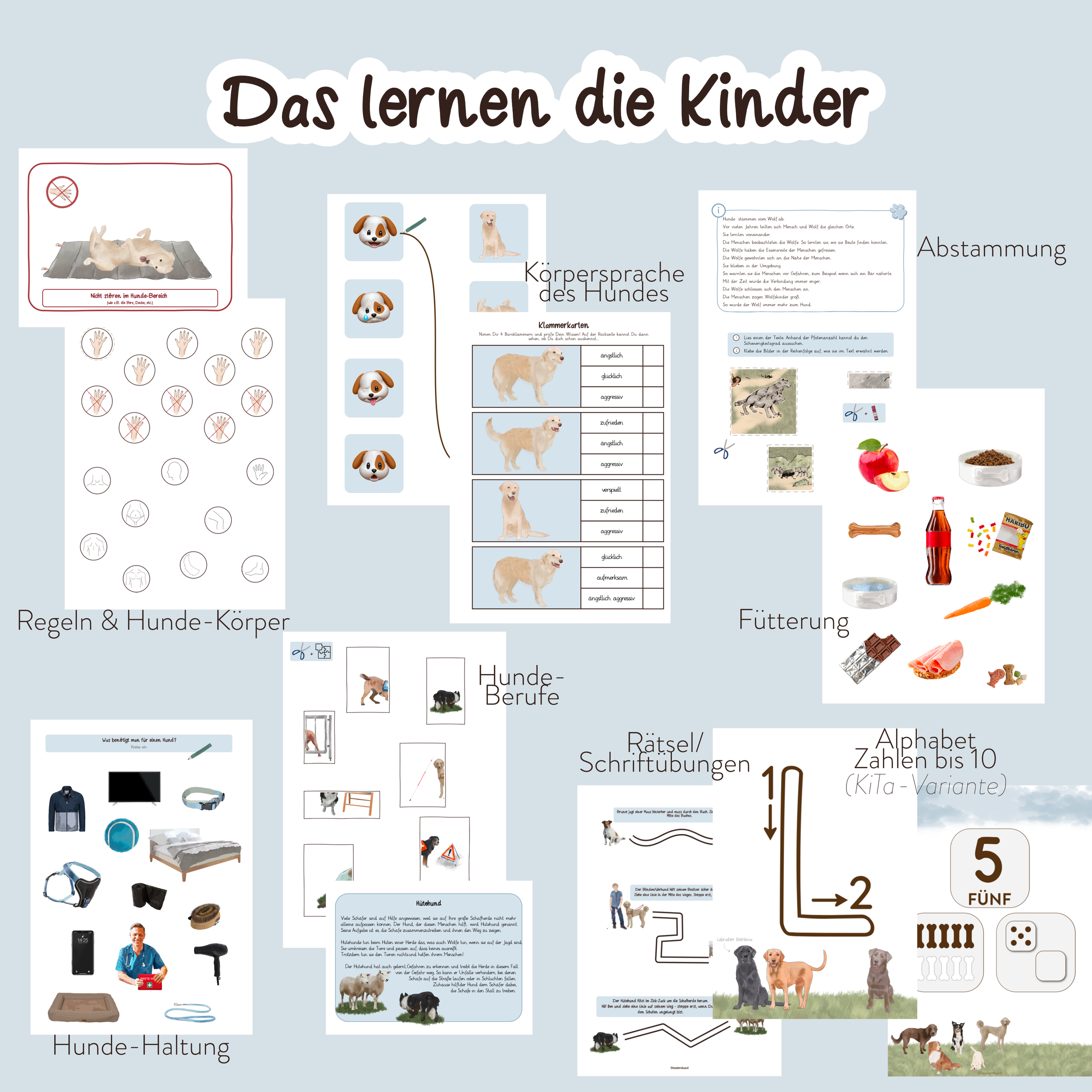 Produktfoto_Hundeführerschein_Lerninhalte.png (Kopie) (Kopie) (Kopie) (Kopie) (Kopie) (Kopie)