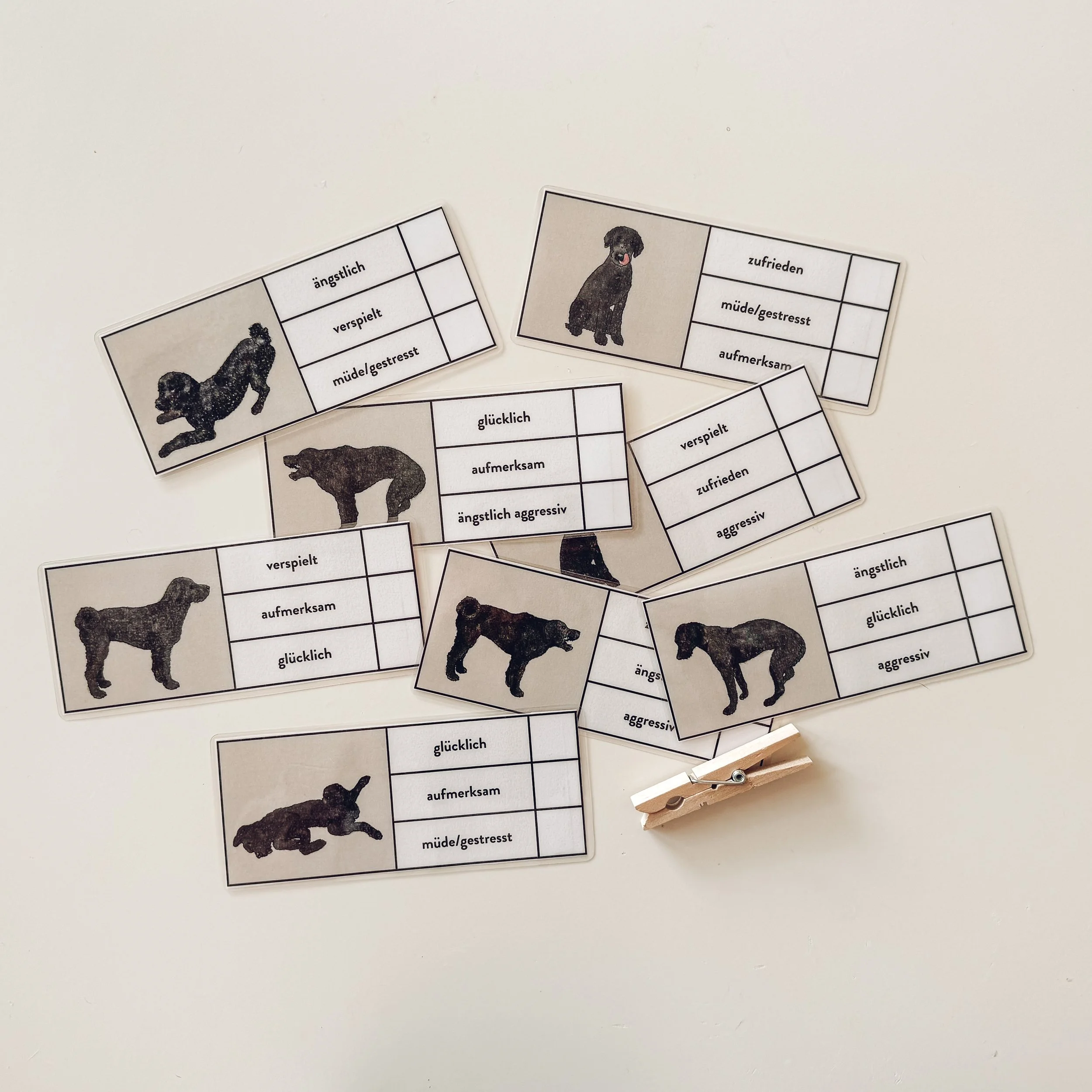 Klammerkarten Körpersprache