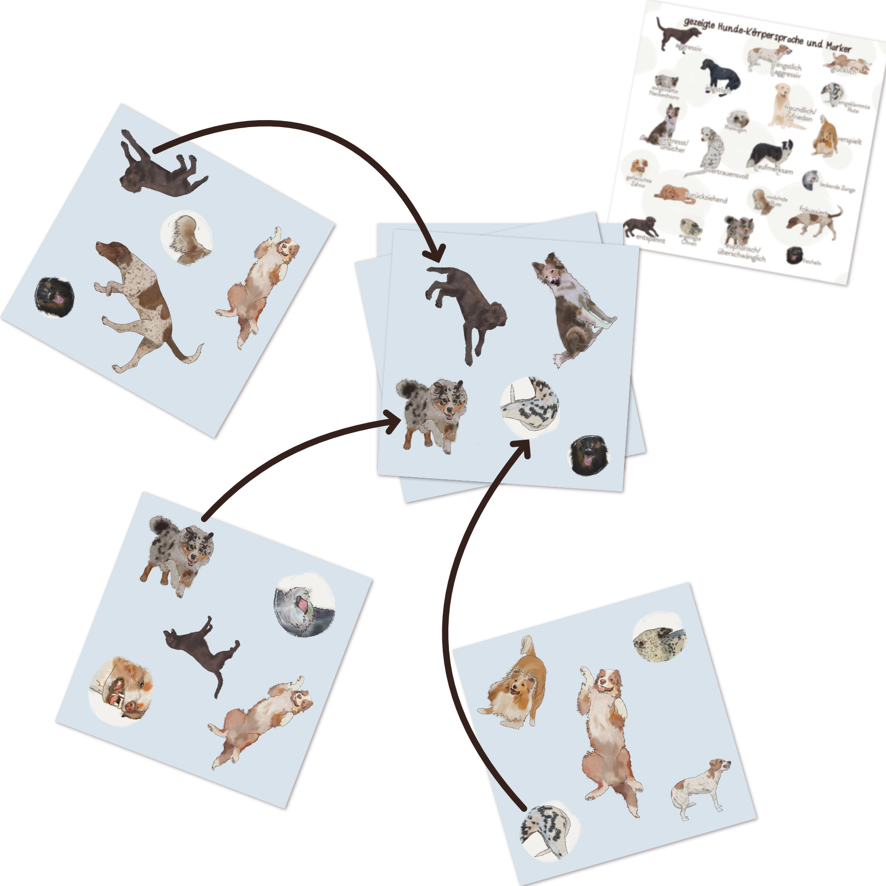 Körpersprache Dobble Beispiel.png