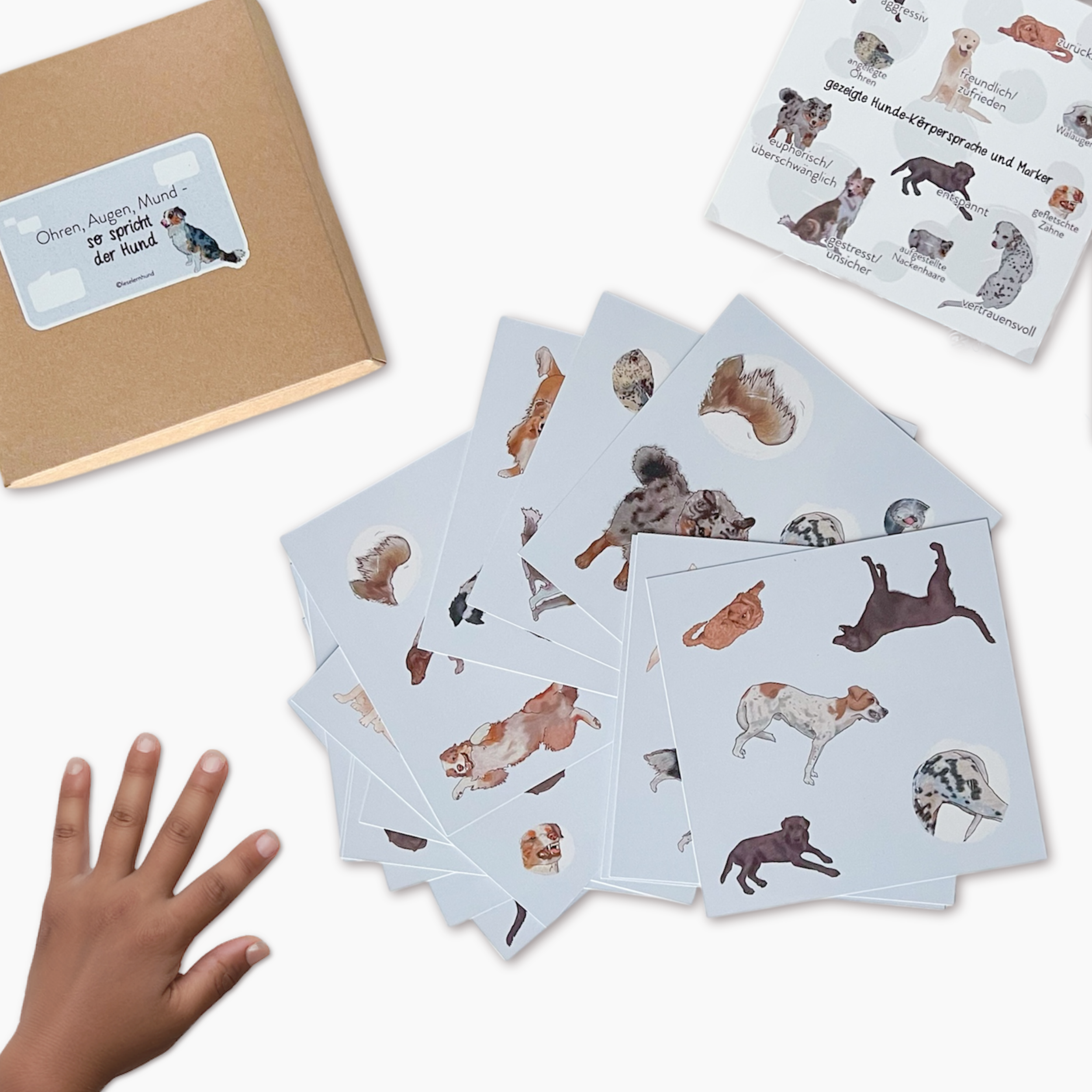 Spiel: Ohren, Augen, Mund - so spricht der Hund