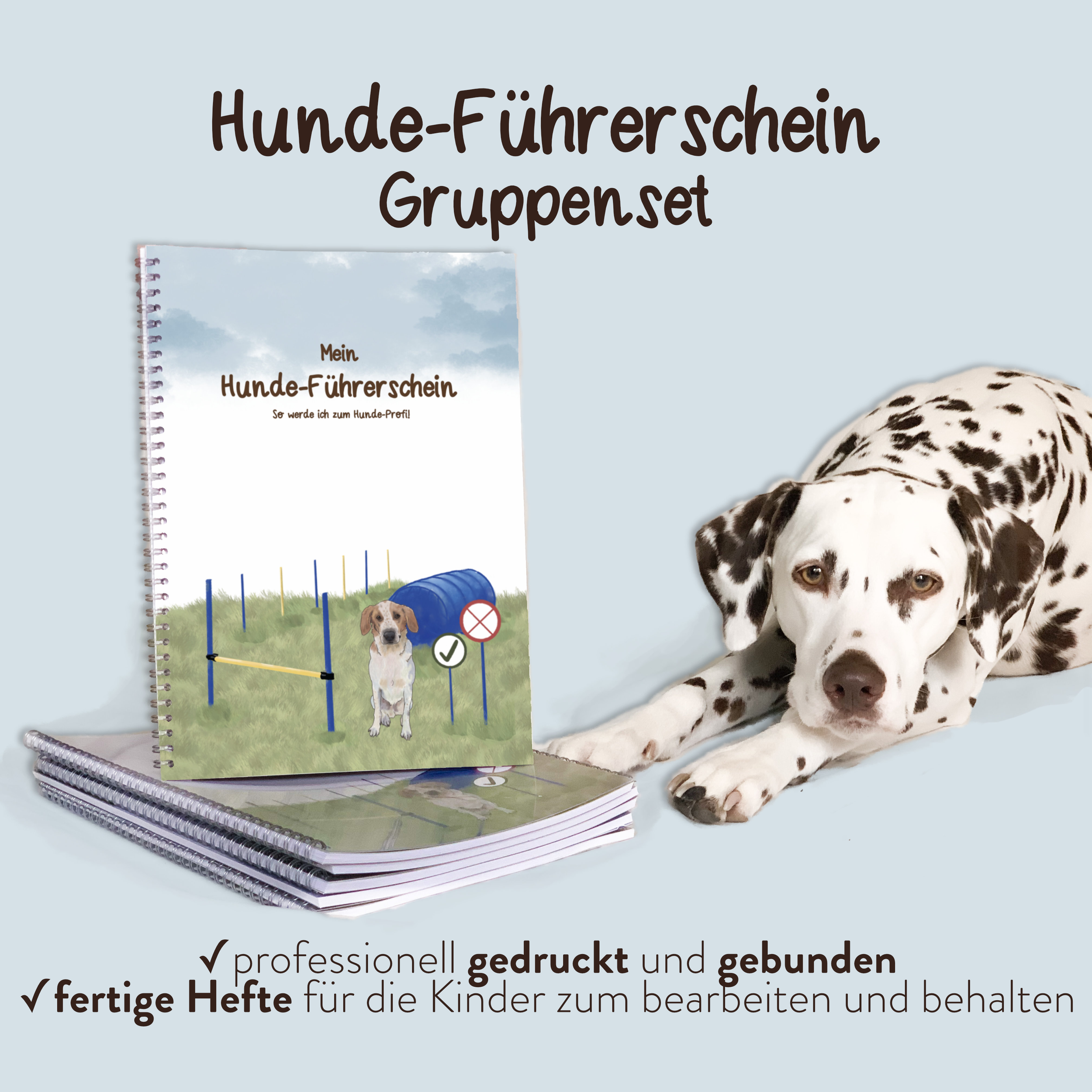 Produktfoto_Hundeführerschein_Gruppenset.png