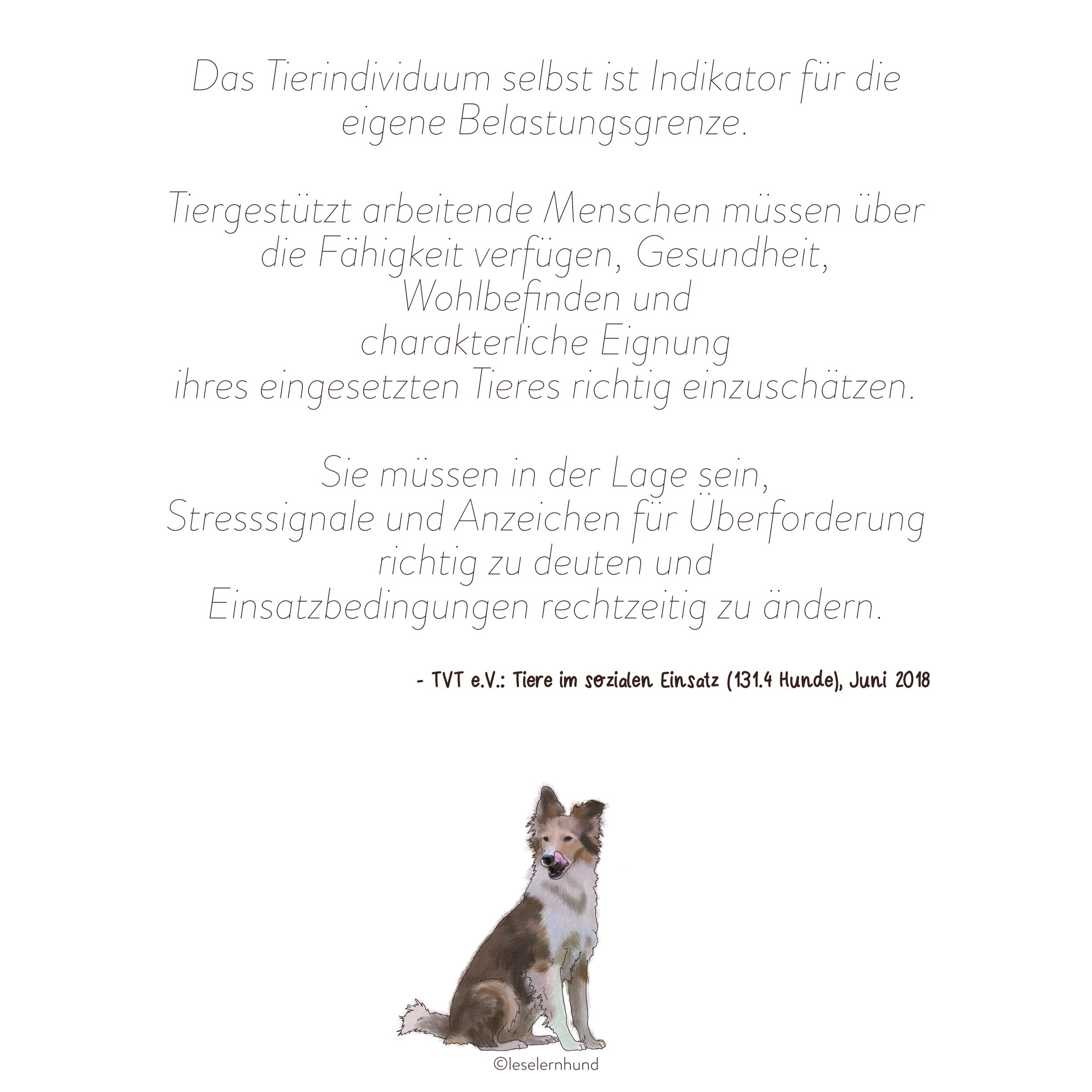 EinsatzDoku_Zitat+TVT.jpg
