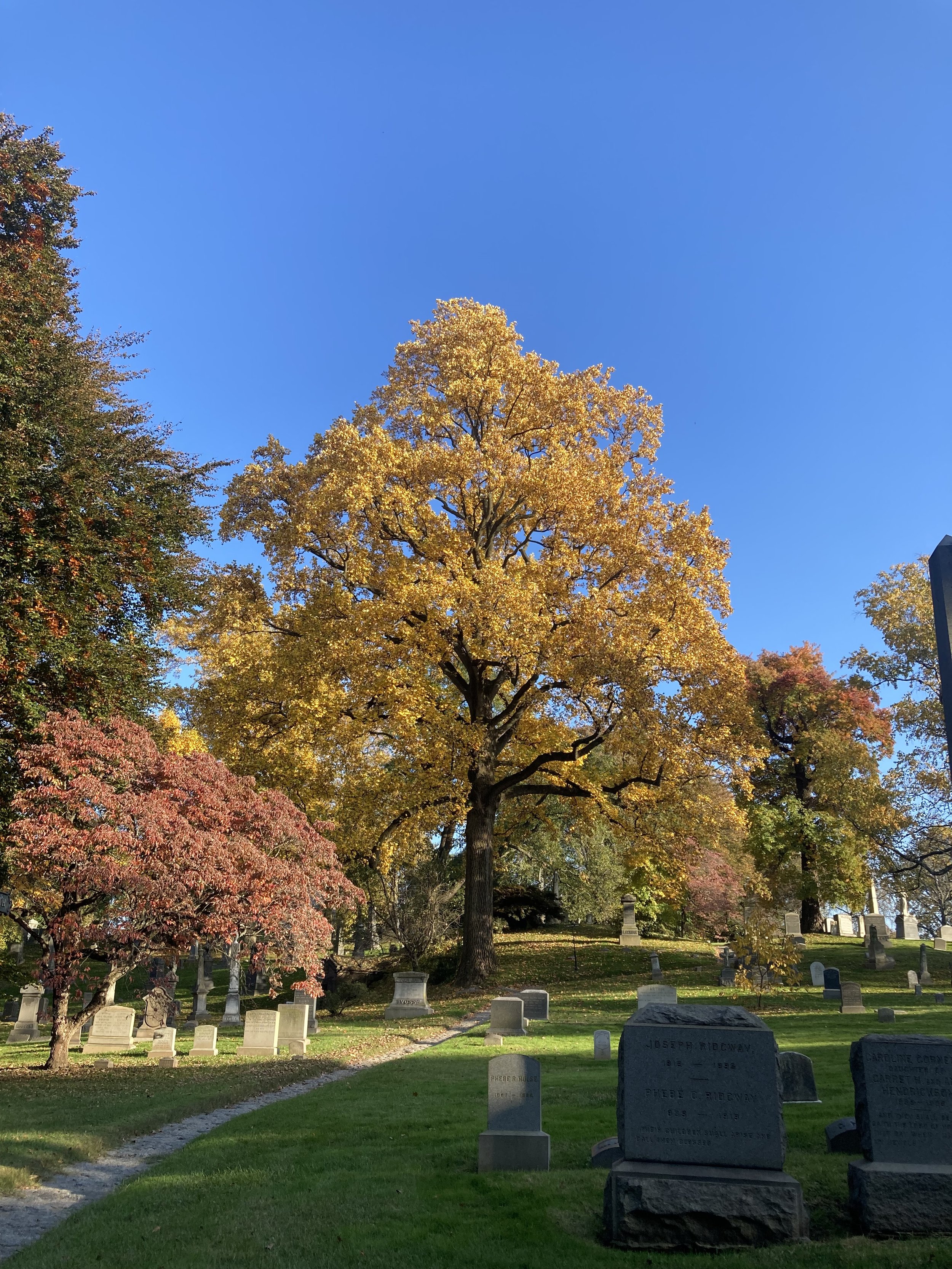 IMG_9578(Sunset Park Photo Walk GWC).jpeg