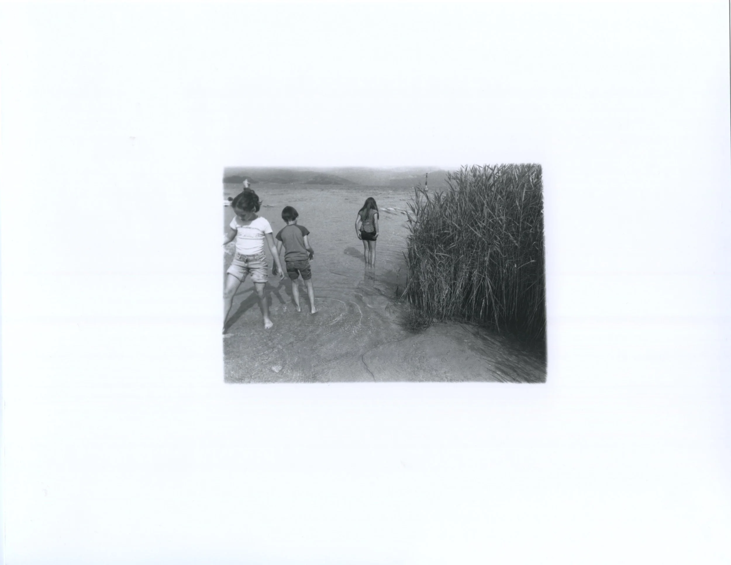 Olivia Harrison, Untitled, 2025-2.jpeg