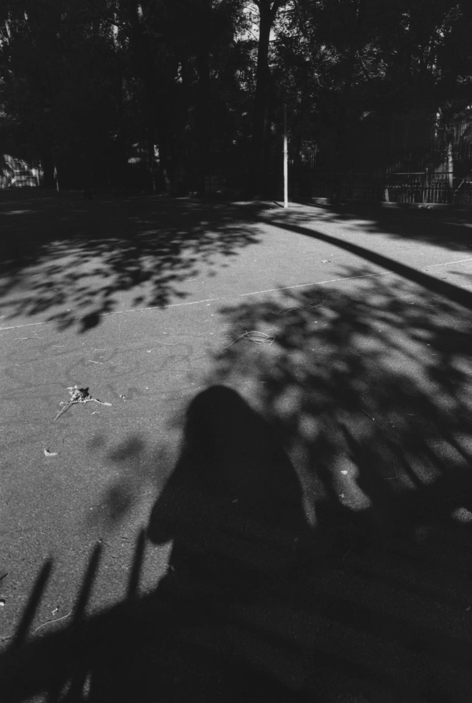 Olivia Harrison, Untitled, 2025-9.jpg