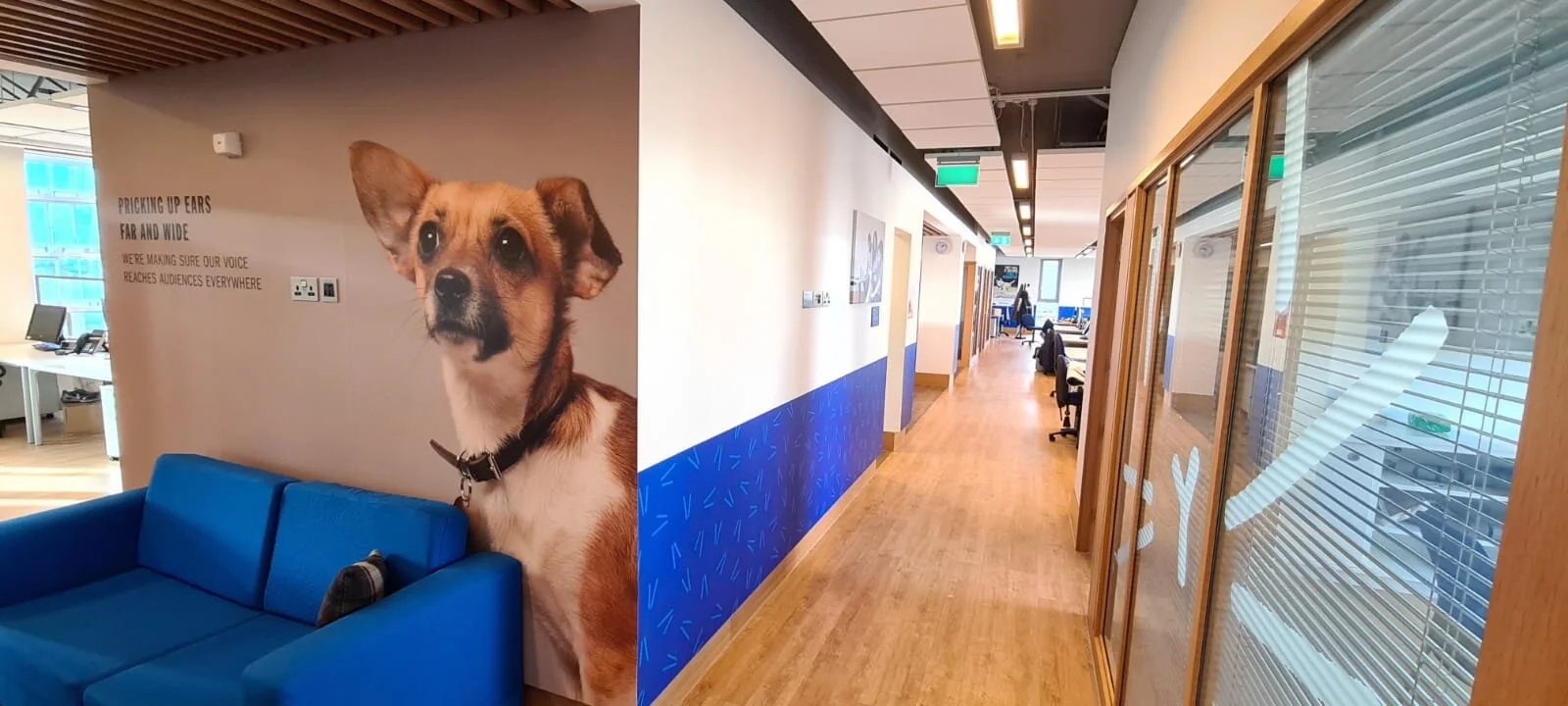 WhatsApp Image 2021-01-13 at 14.04.19 (10).jpeg