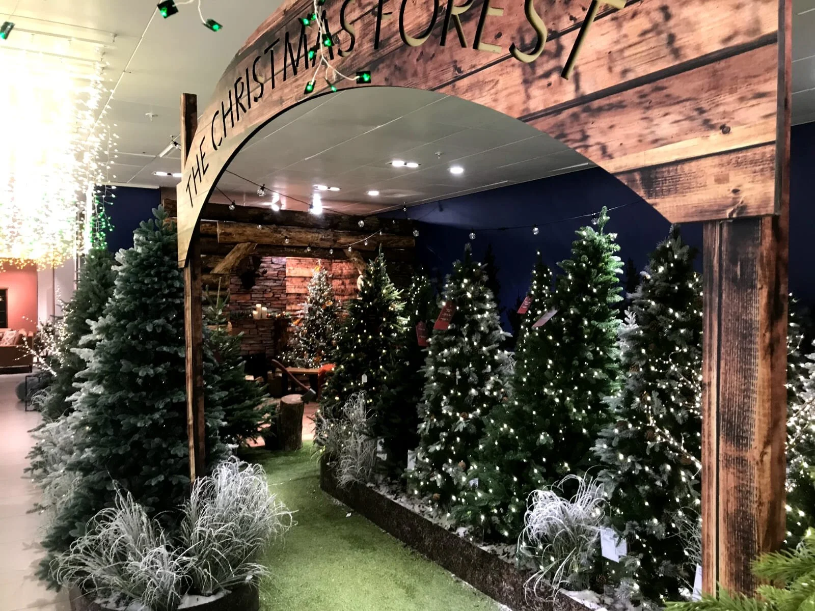 WhatsApp Image 2021-01-13 at 14.04.17.jpeg