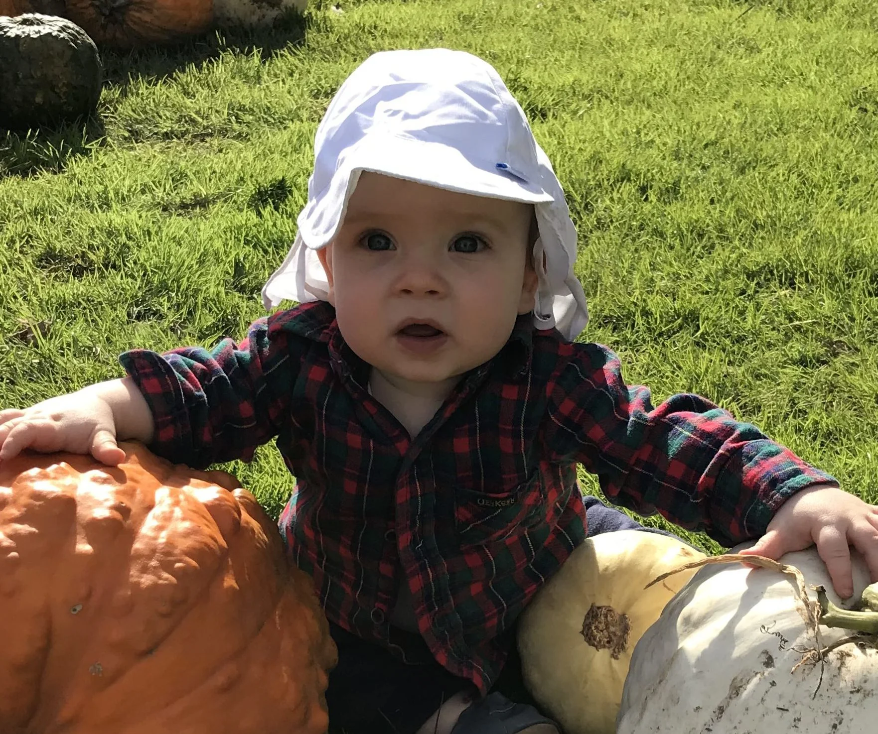 2017-10-07-e1507562902903.jpg