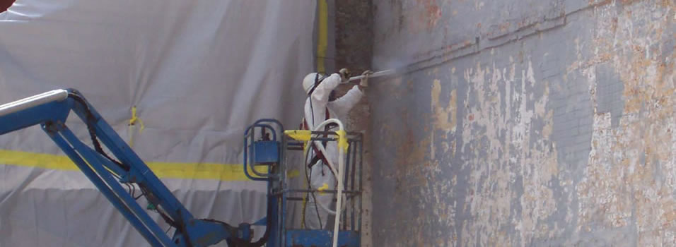 Construction related services such as selective demolition and spray applied fire proofing.