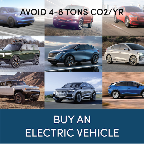ELECTRIC VEHICLES-01.png