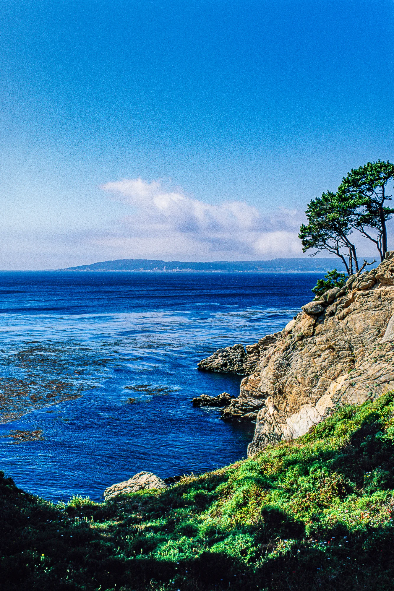 Point Lobos, California