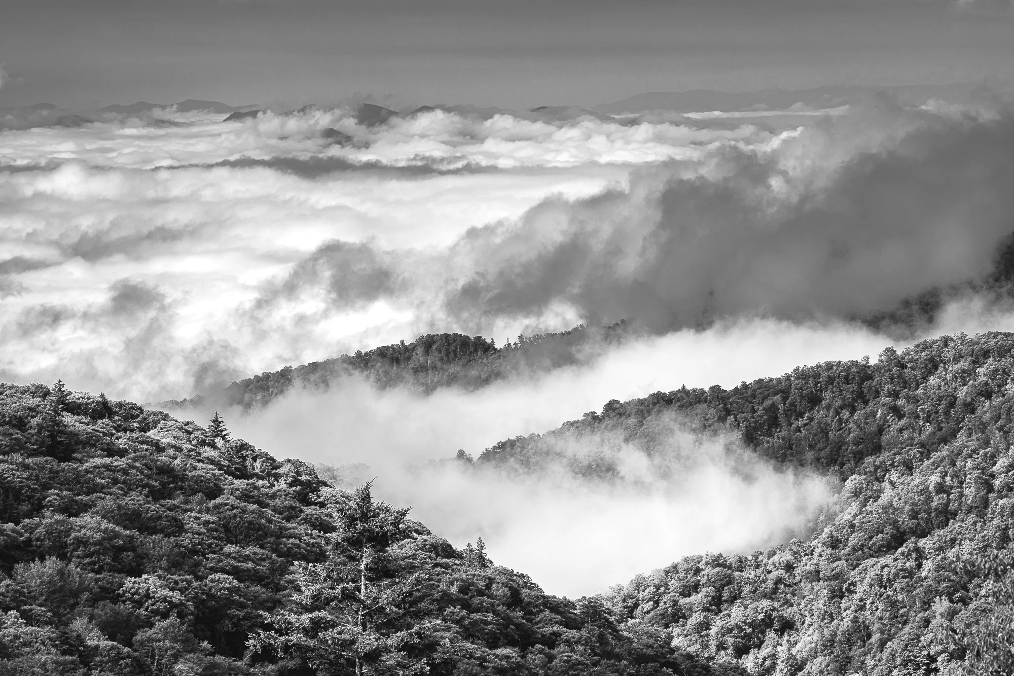 View from the Blue Ridge Parkway near Waynesville, NC