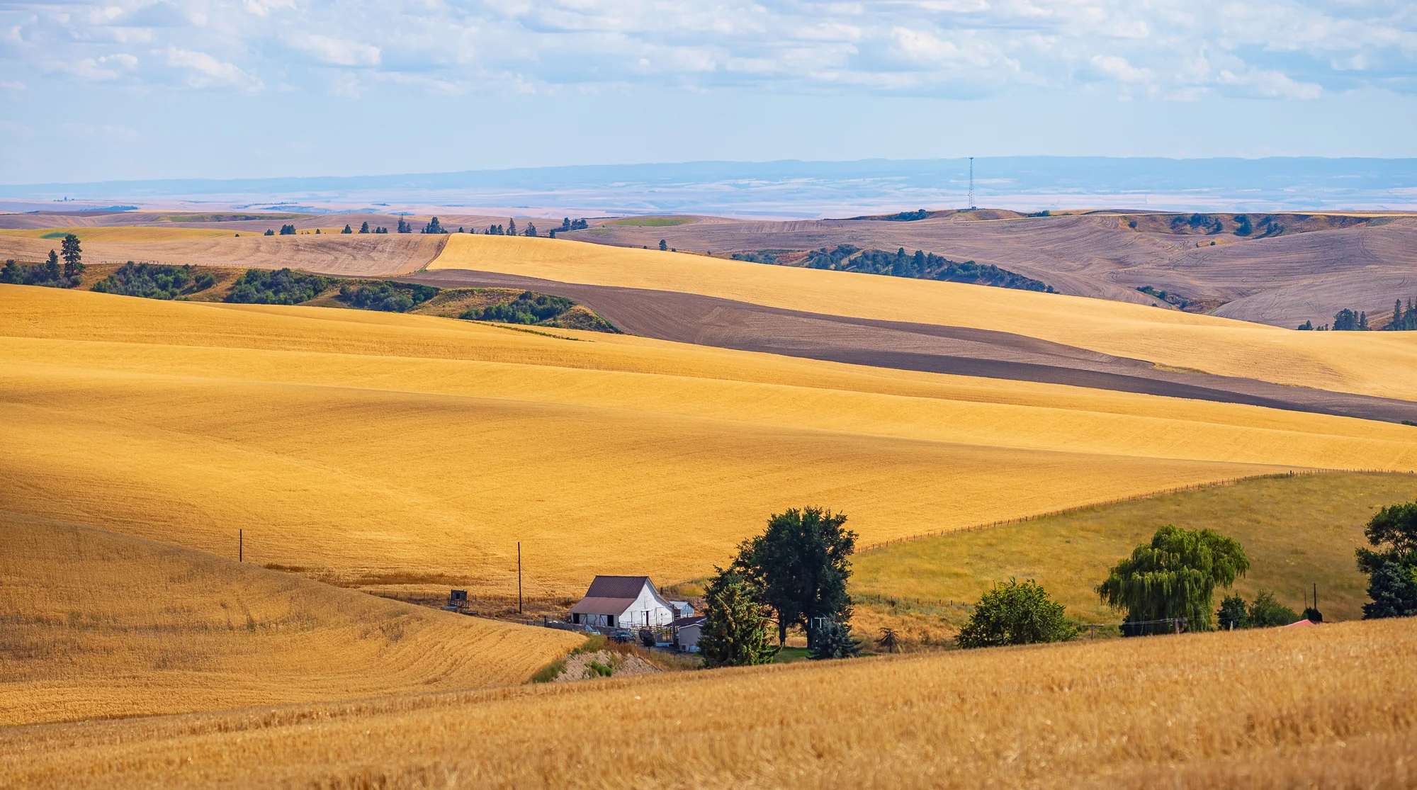 near Colfax, Washington